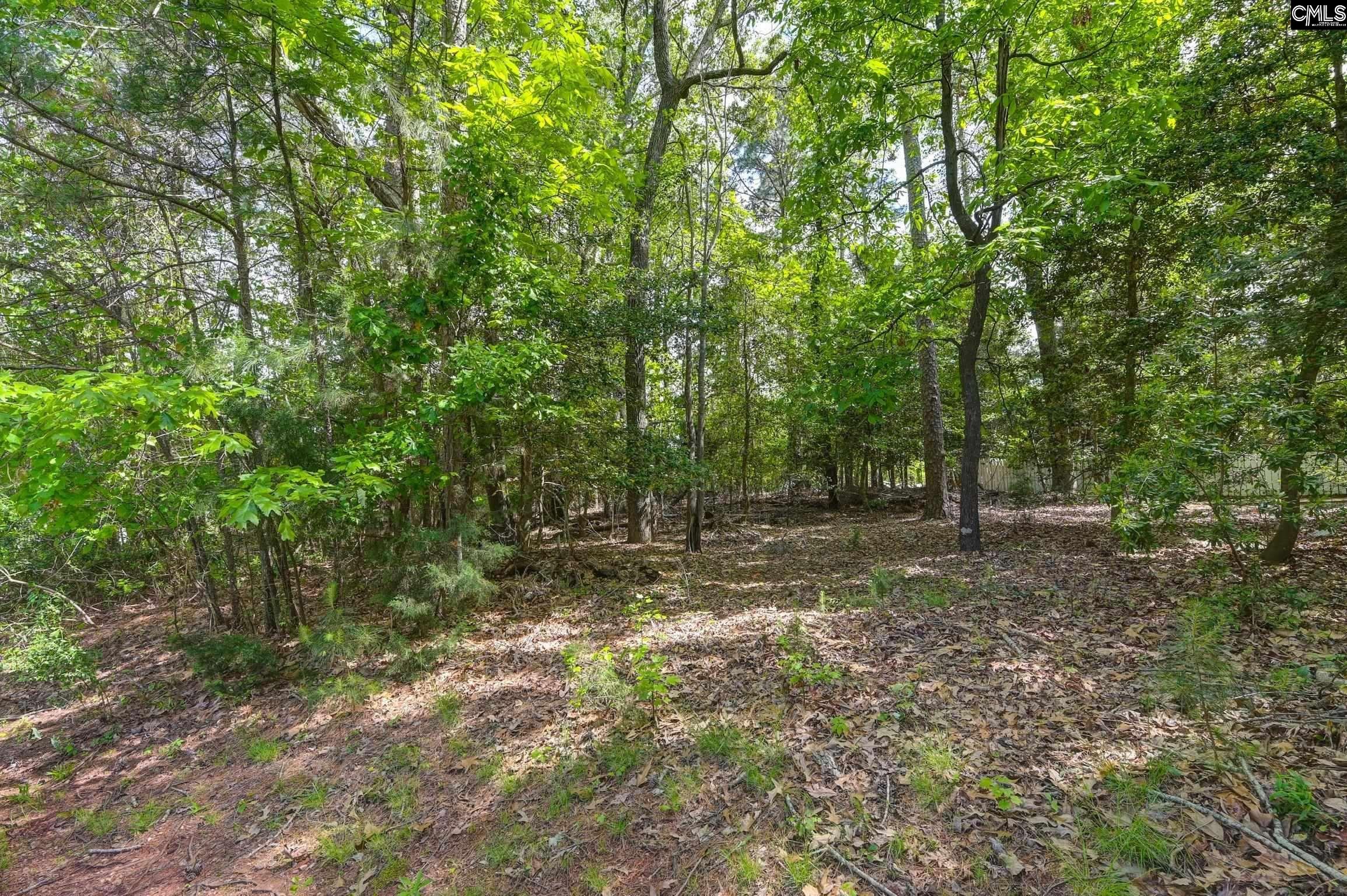 104 Lake Vista Chapin, SC 29036