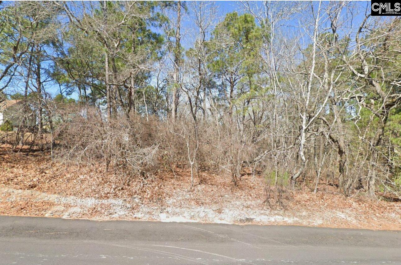 132 Stone Bridge Drive, Gaston, South Carolina image 1