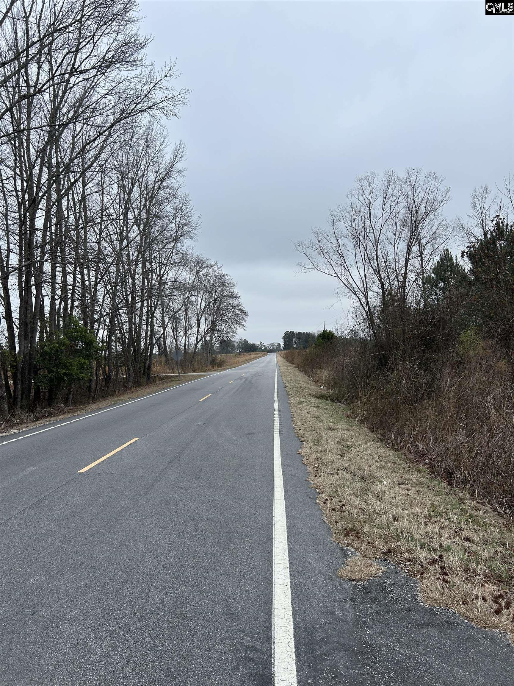 TBD Old Camden Highway, Cassatt, South Carolina image 2