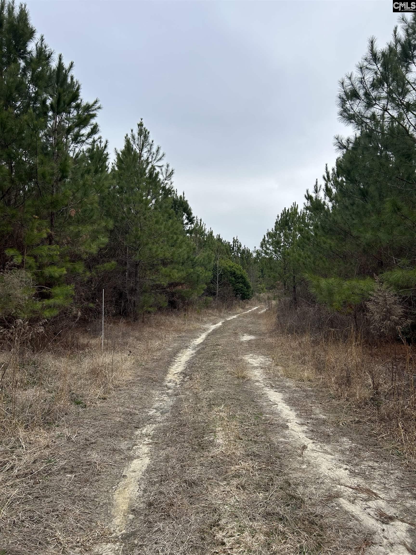 TBD Old Camden Highway, Cassatt, South Carolina image 4