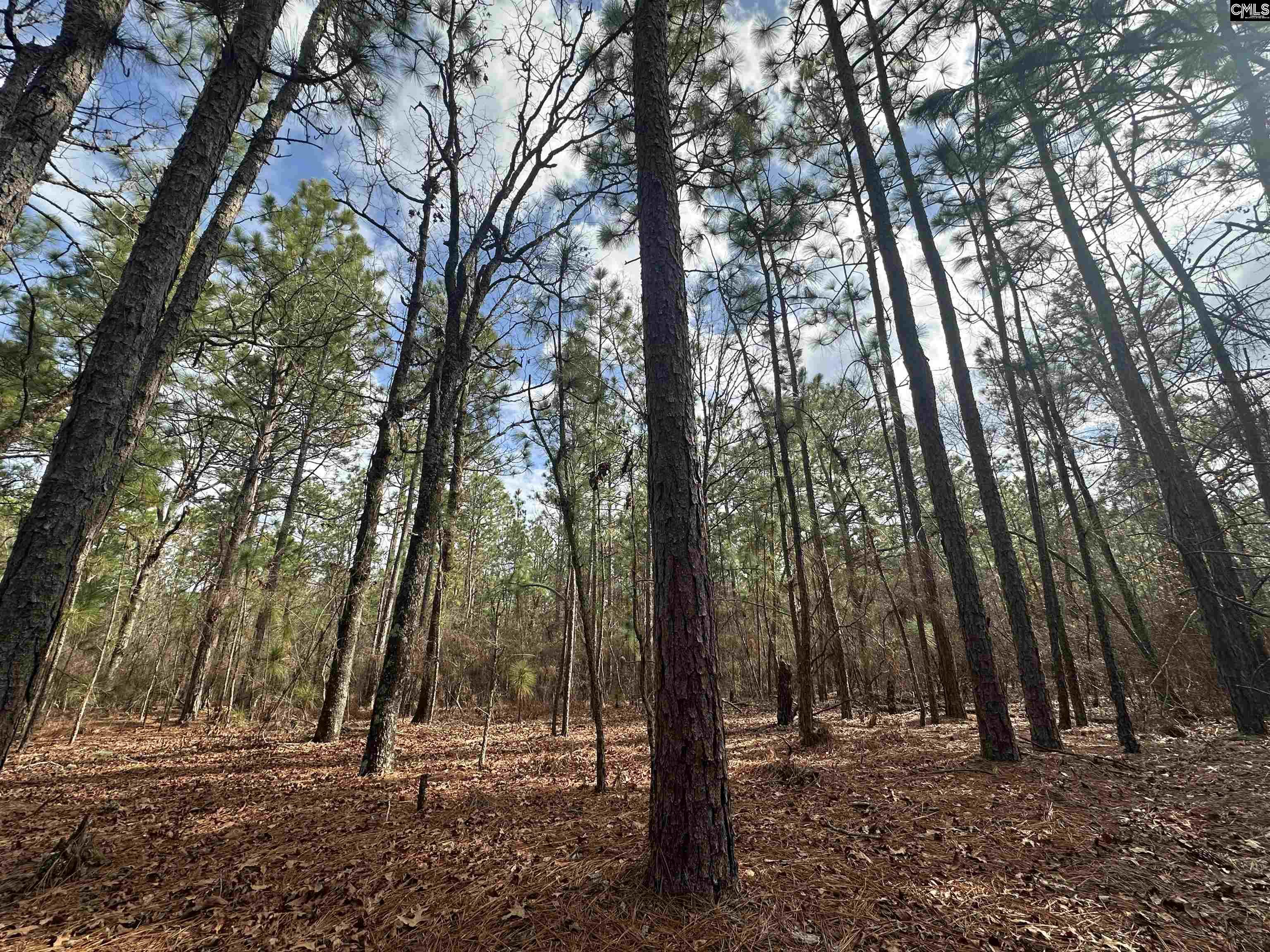 Gantt Mill Road Leesville, SC 29070