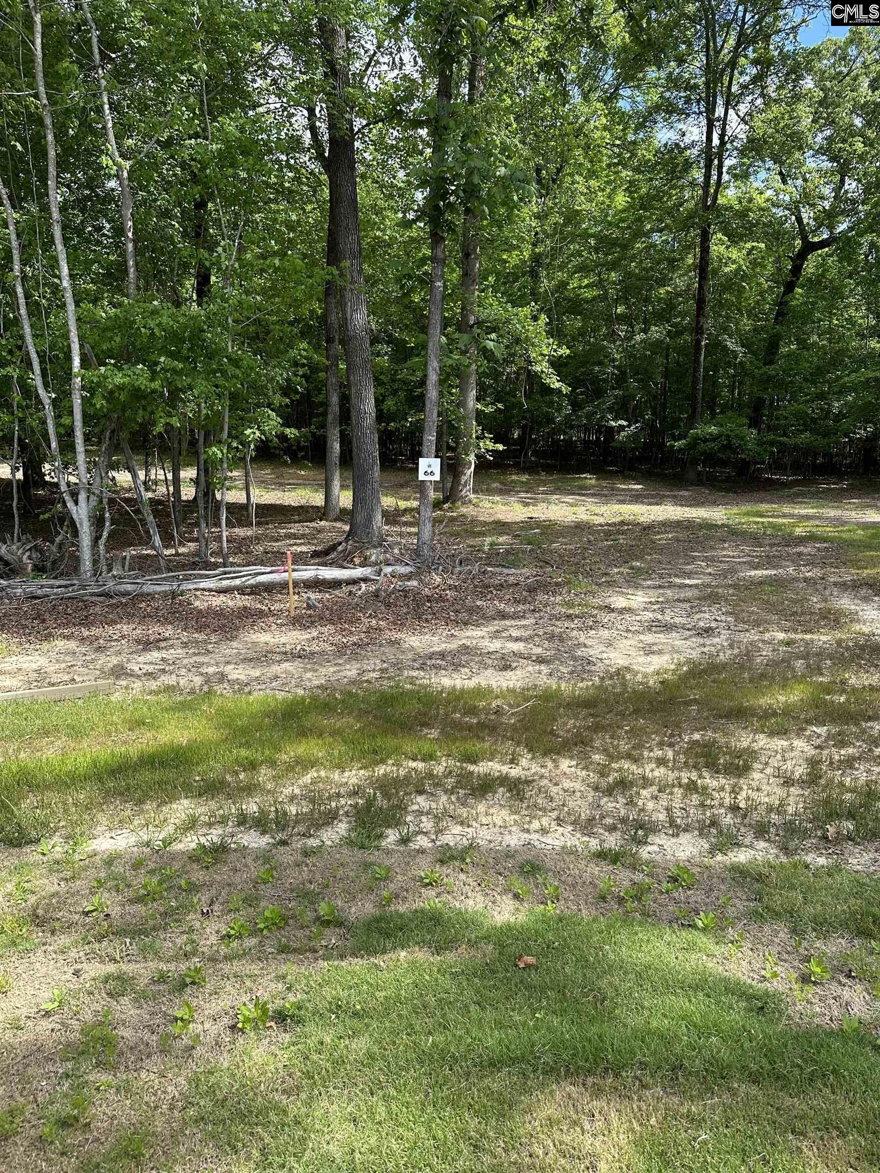 00 Stewart Landing Drive, Prosperity, South Carolina image 4