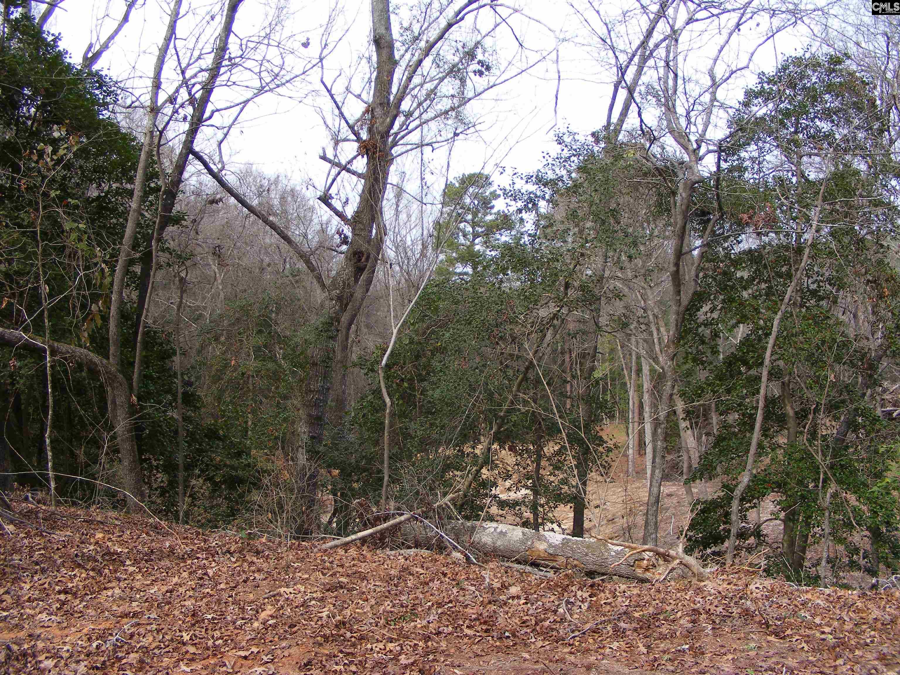 Great Circle Drive St. Matthews, SC 29135