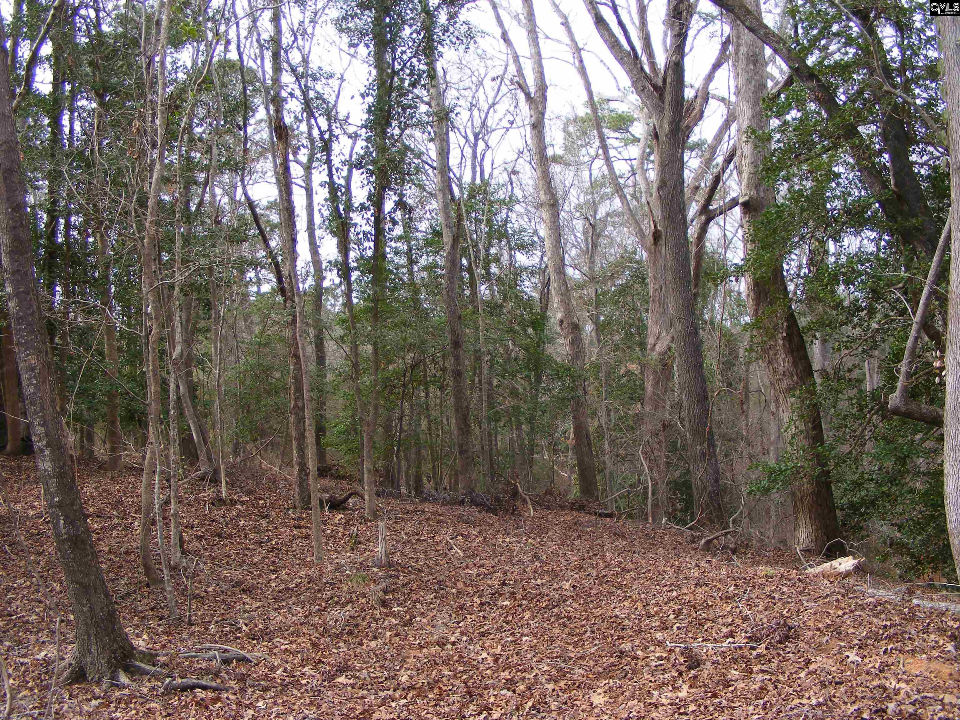 Great Circle Drive St. Matthews, SC 29135