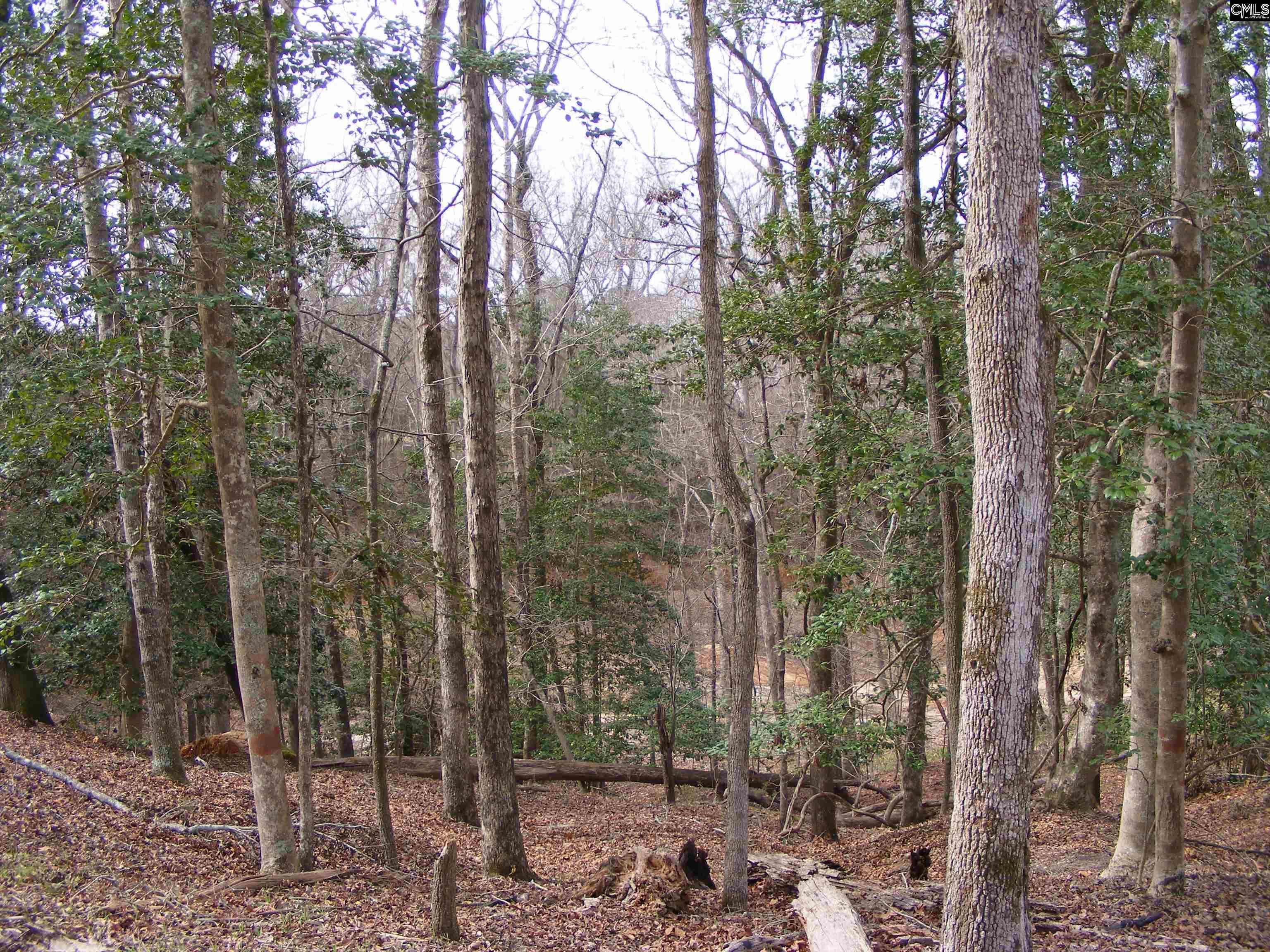 Great Circle Drive St. Matthews, SC 29135