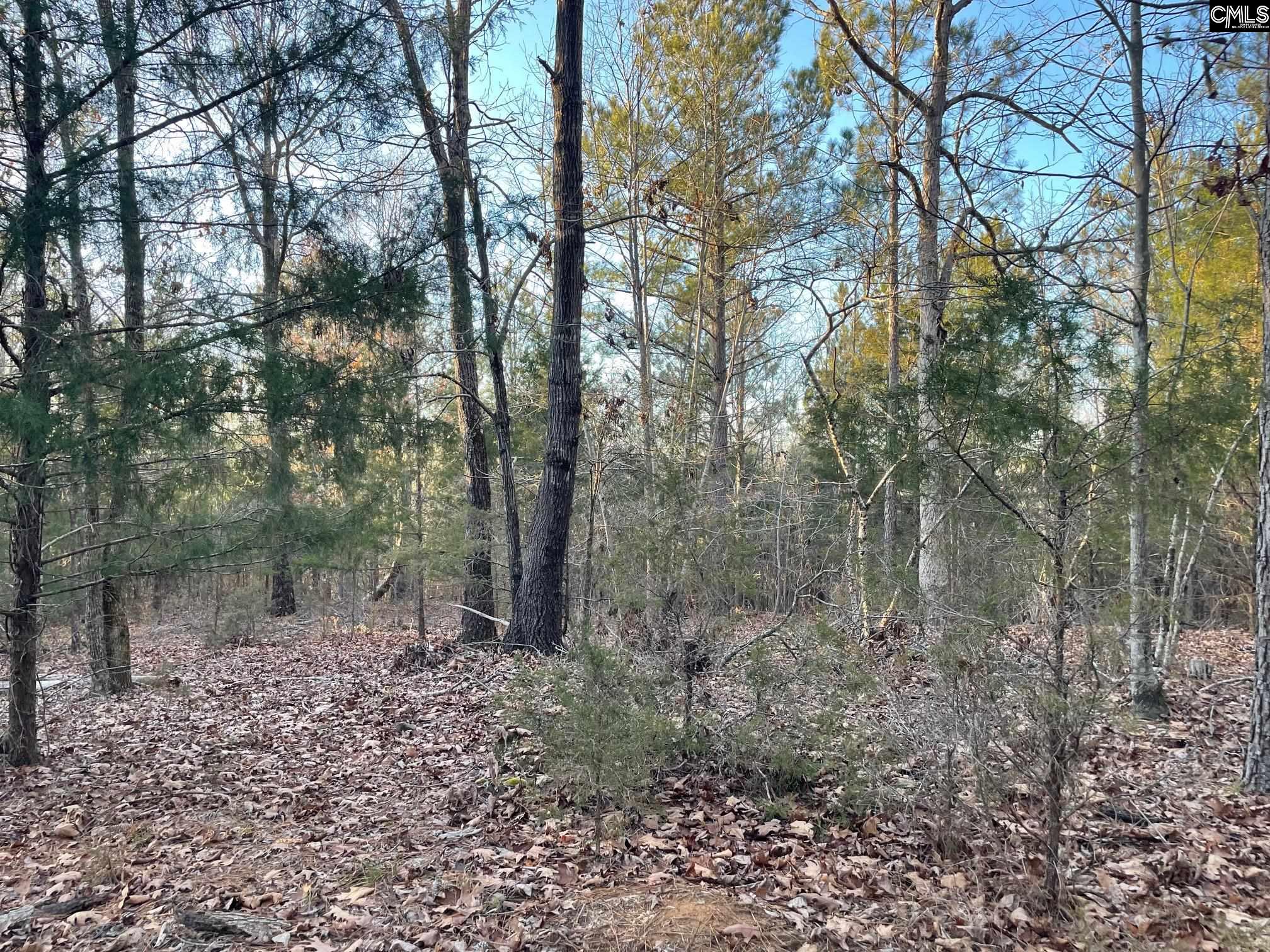 TRACT 2 Sc Highway 219 UNIT #2 Pomaria, SC 29126