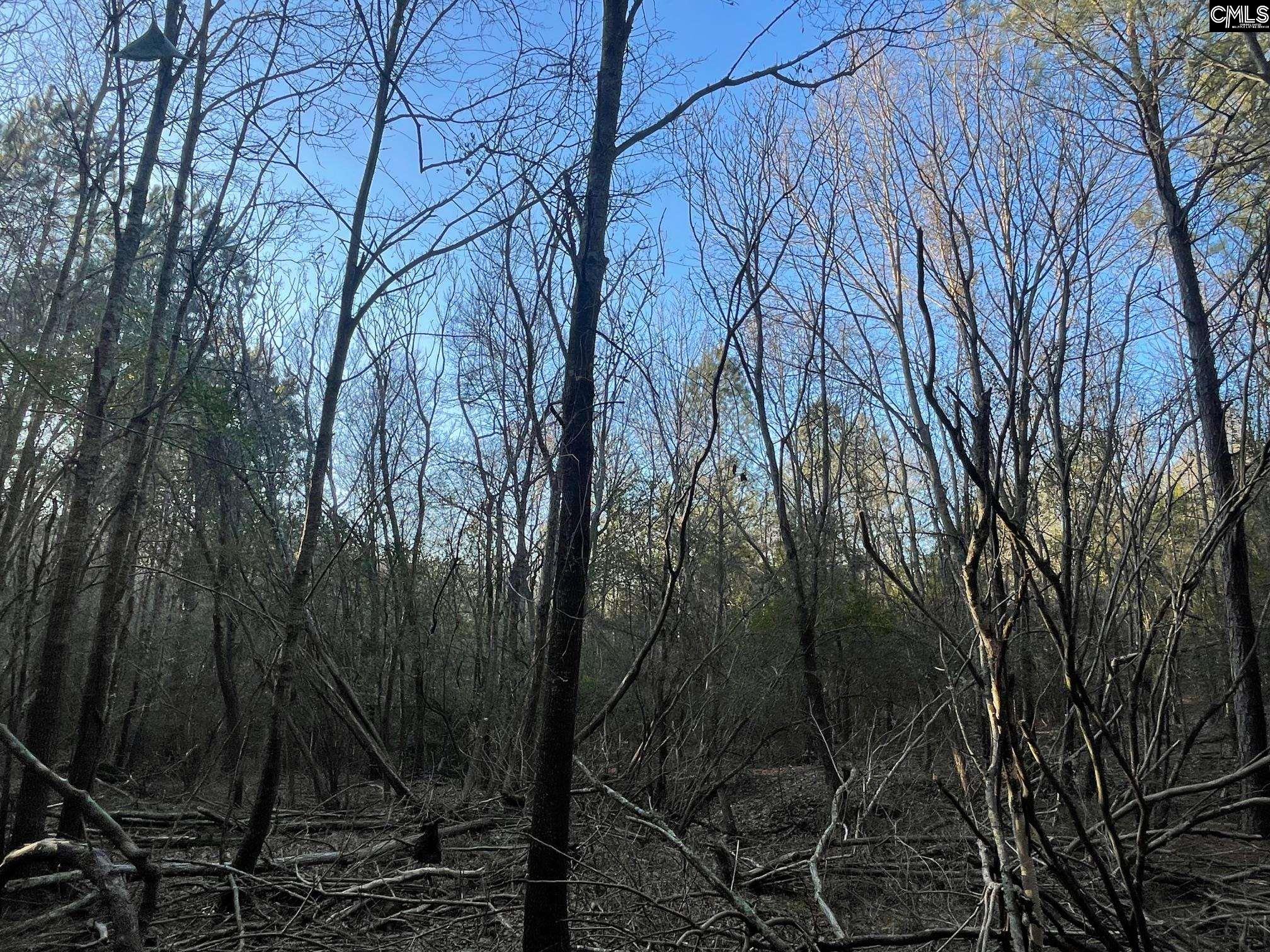 TRACT 2 Sc Highway 219, Pomaria, South Carolina image 2