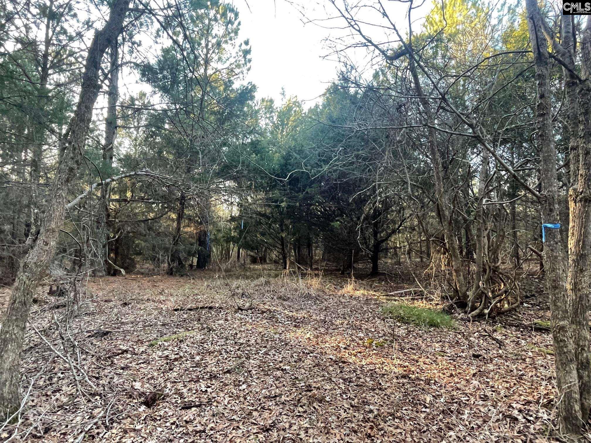 TRACT 2 Sc Highway 219, Pomaria, South Carolina image 6