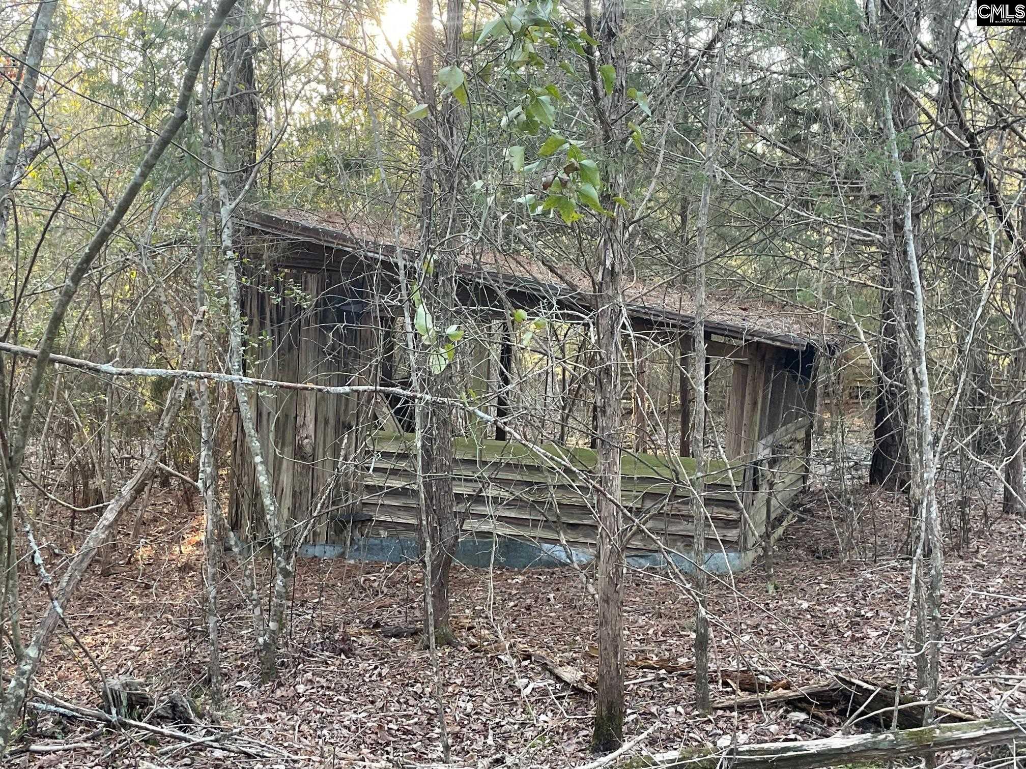 TRACT 2 Sc Highway 219, Pomaria, South Carolina image 7
