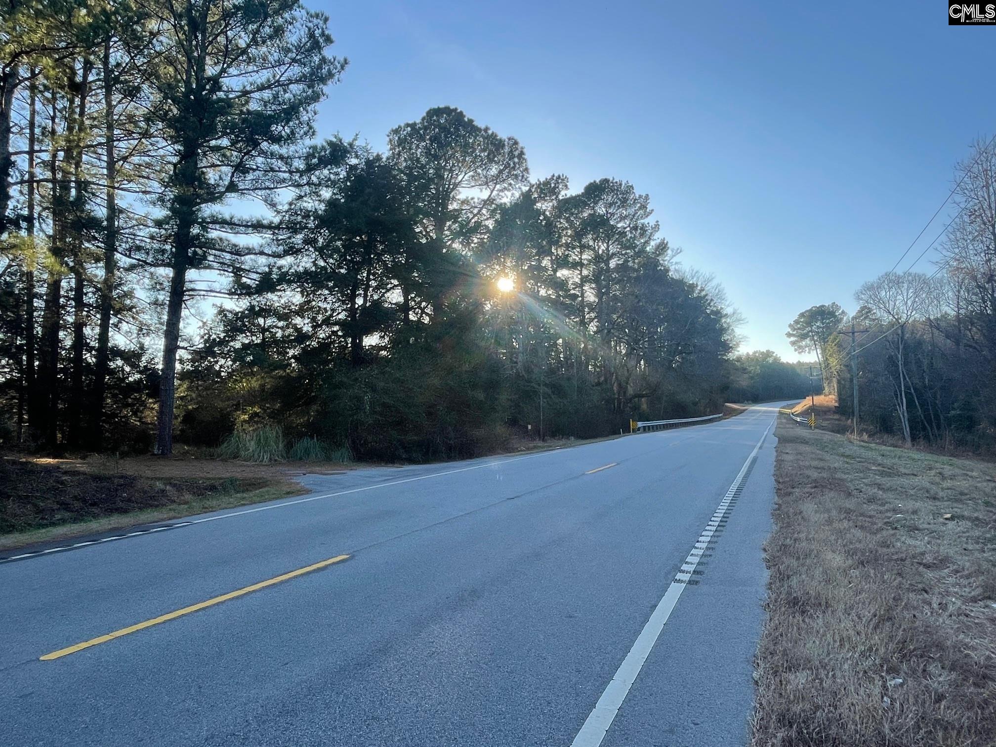 TRACT 2 Sc Highway 219, Pomaria, South Carolina image 10