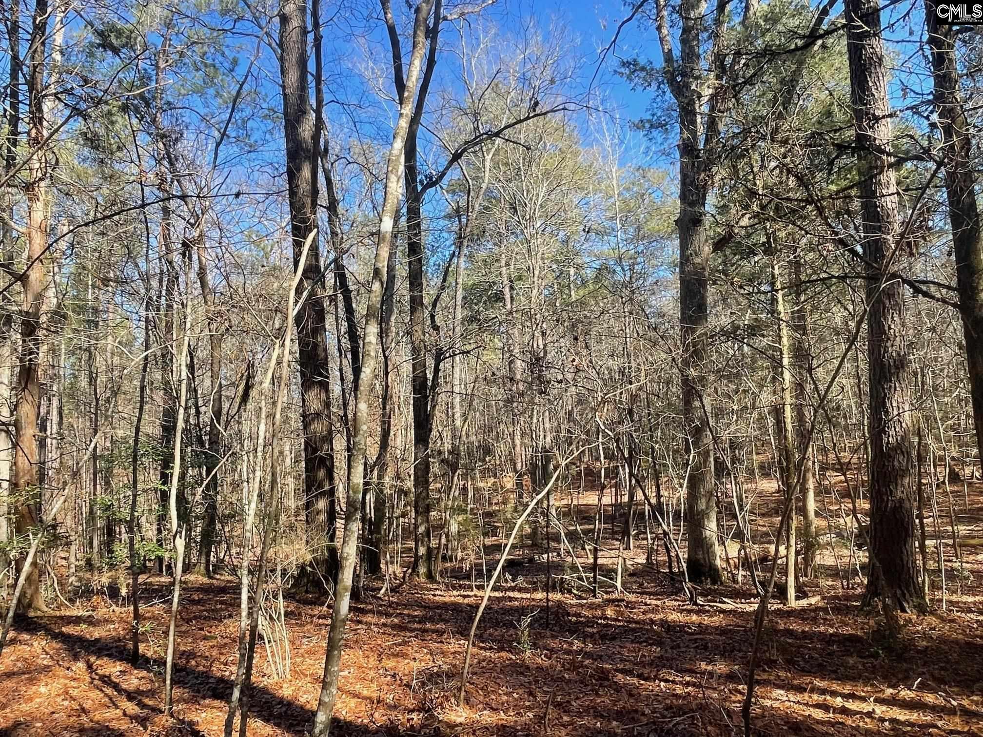 TRACT 5 Sc Highway 219, Pomaria, South Carolina image 1
