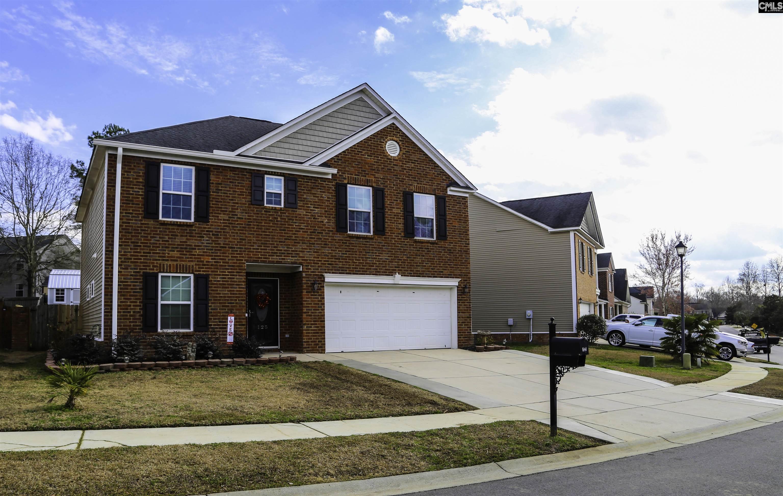 125 Palm Street Chapin, SC 29036
