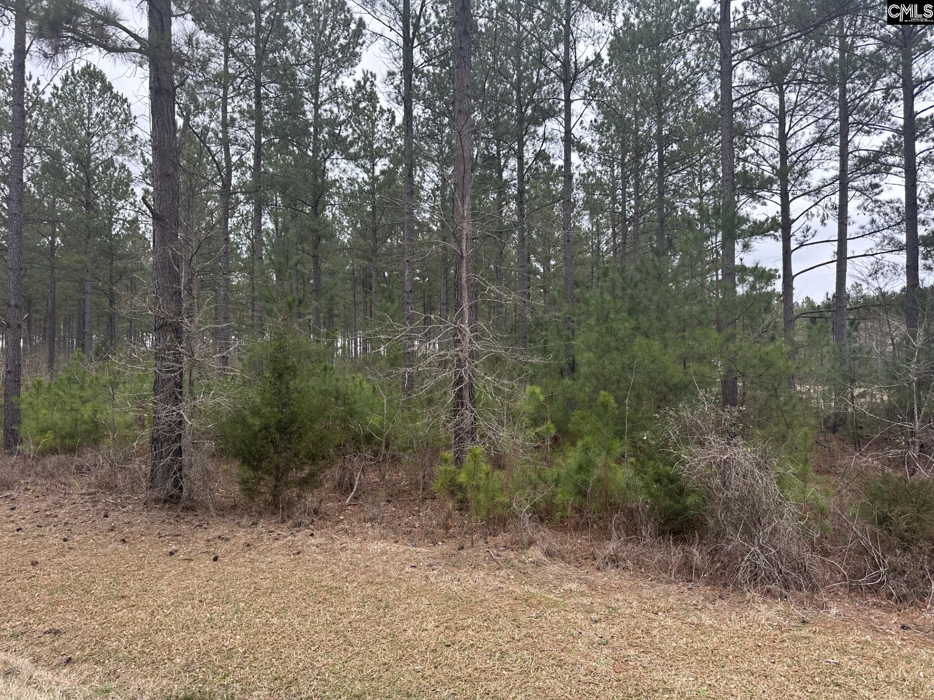00 Livingston Road Pomaria, SC 29126