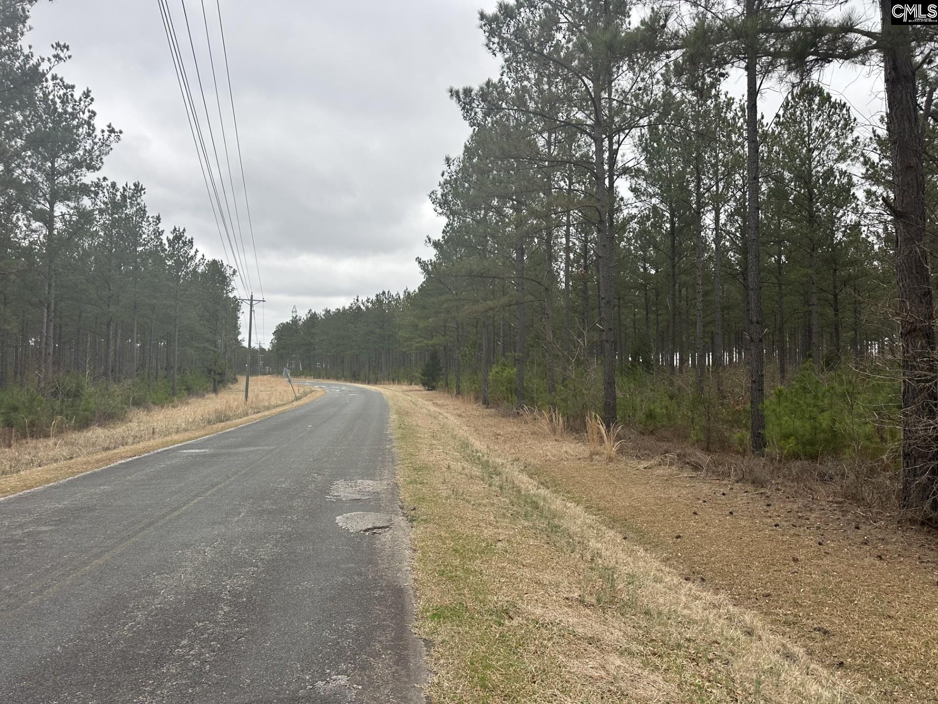 00 Livingston Road, Pomaria, South Carolina image 2