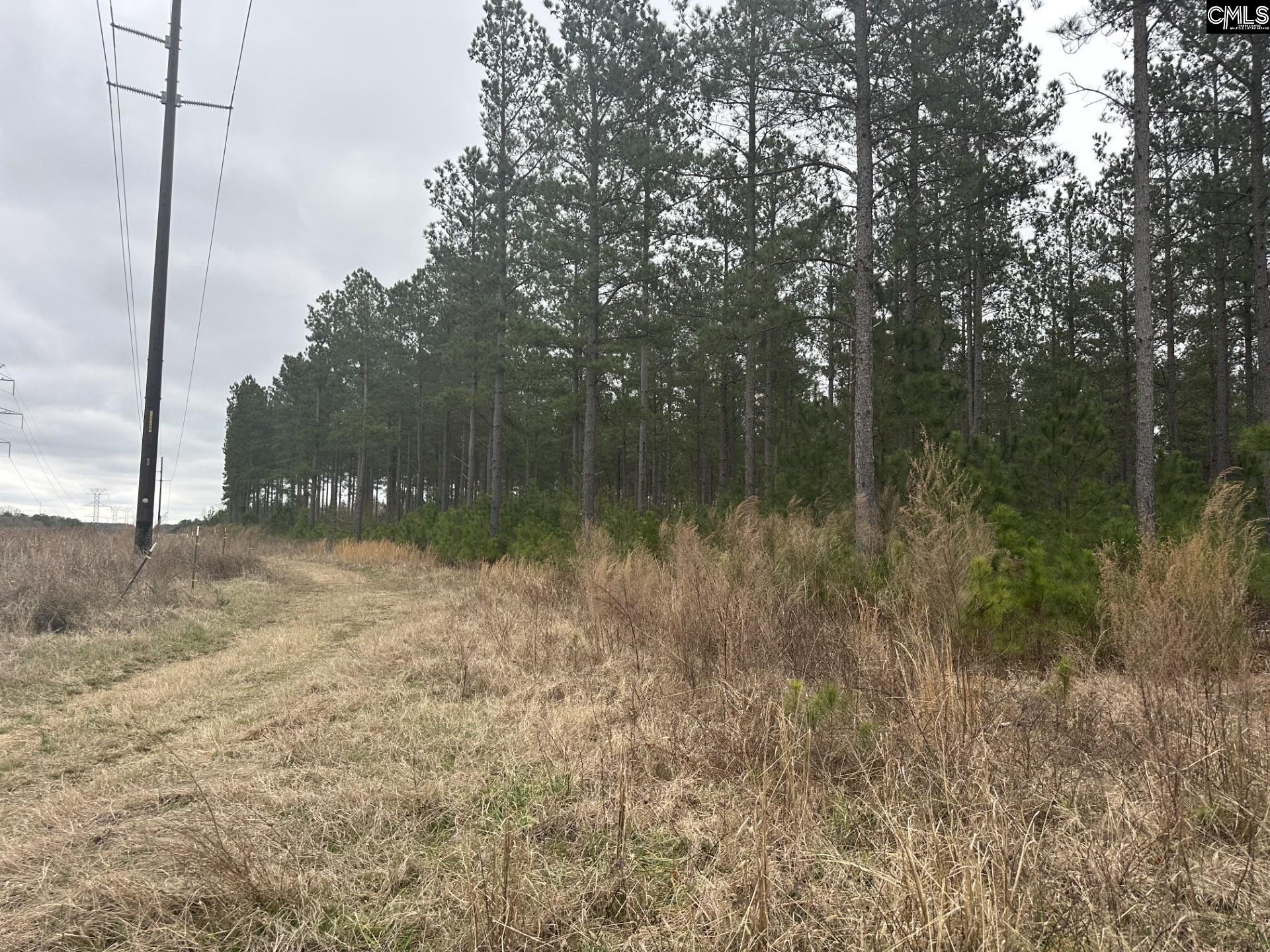 00 Livingston Road, Pomaria, South Carolina image 3