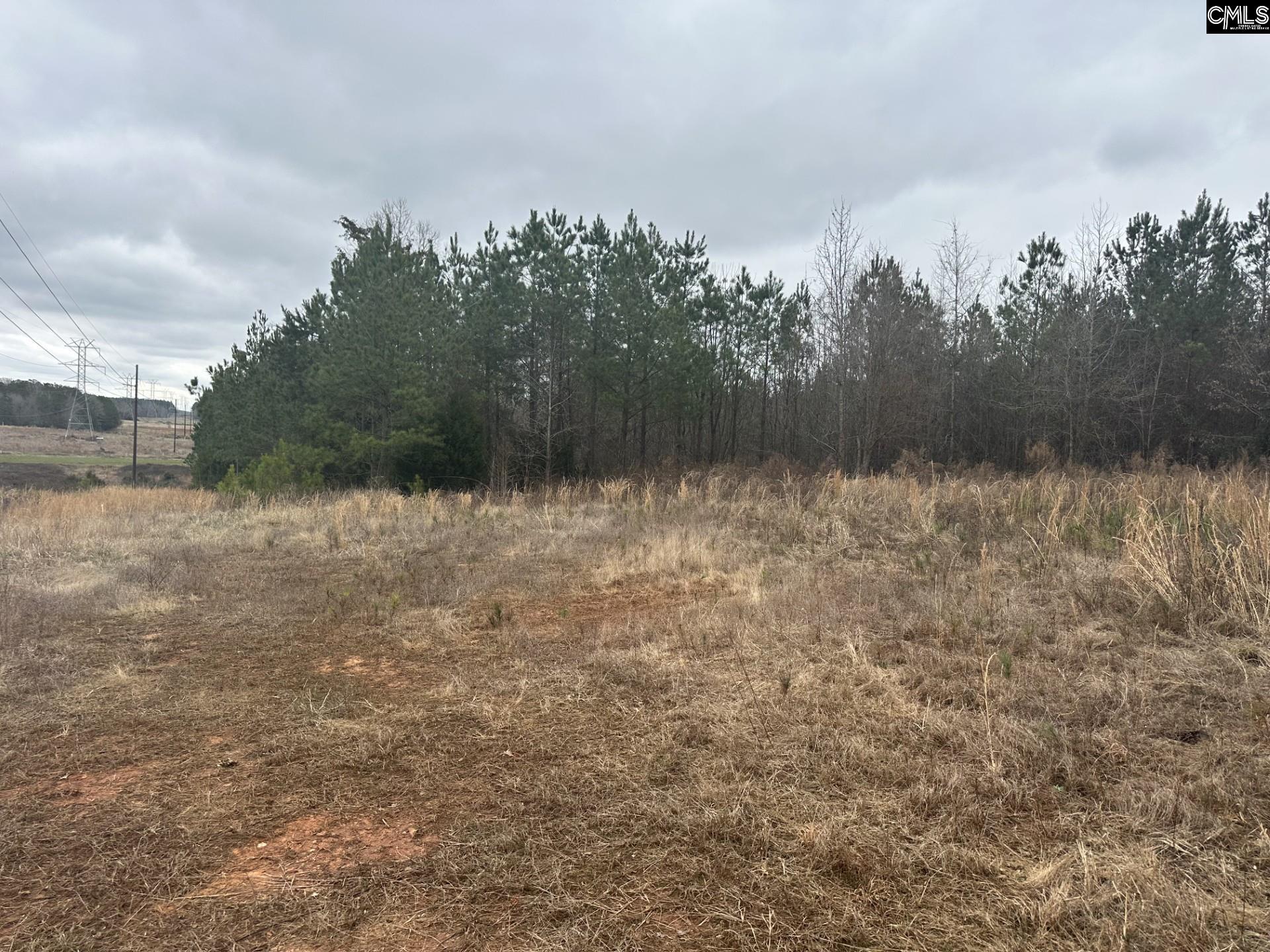 00 Livingston Road, Pomaria, South Carolina image 5