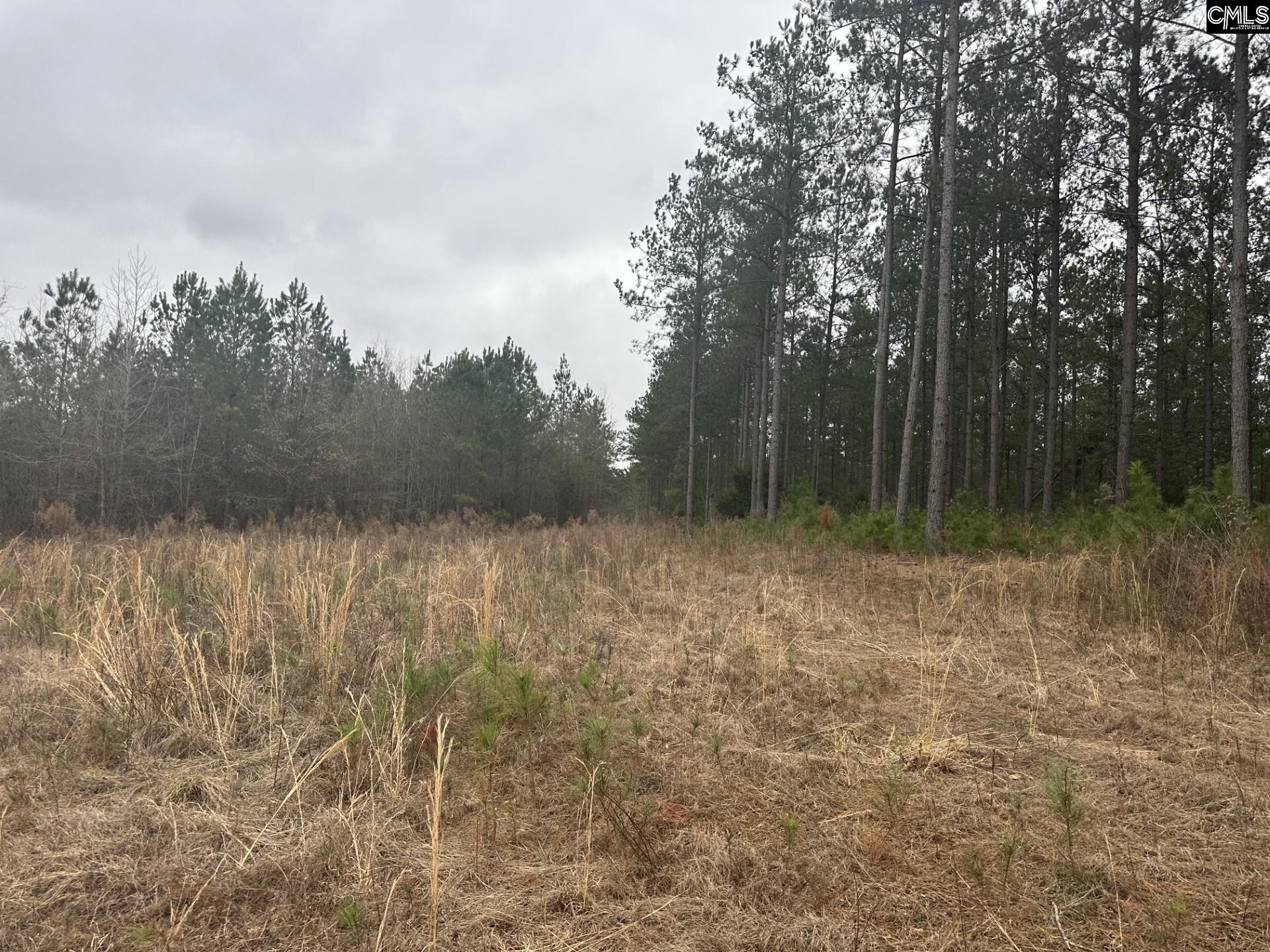 00 Livingston Road, Pomaria, South Carolina image 6