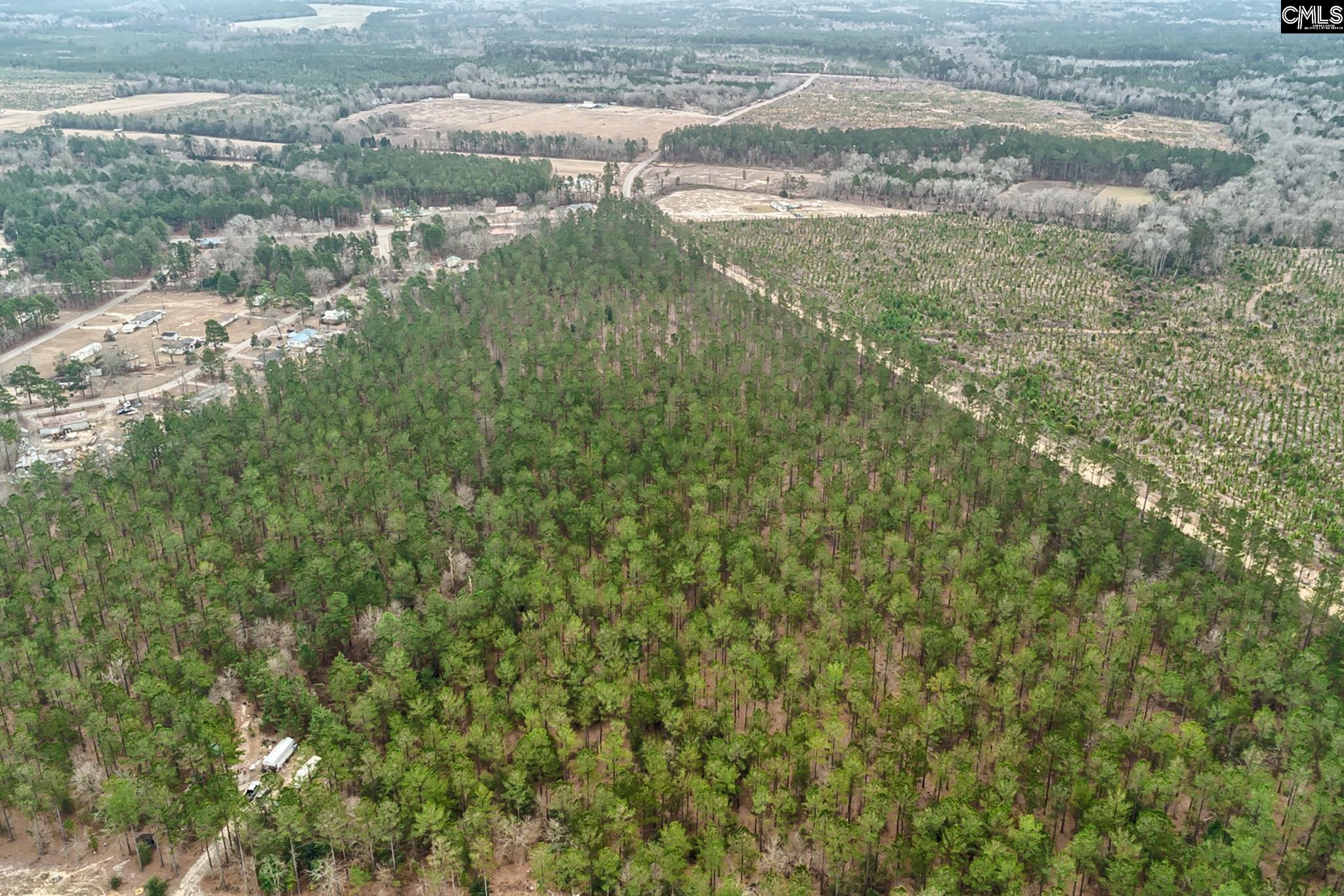 00 Otis Baughman Sr Road, Wagener, South Carolina image 8