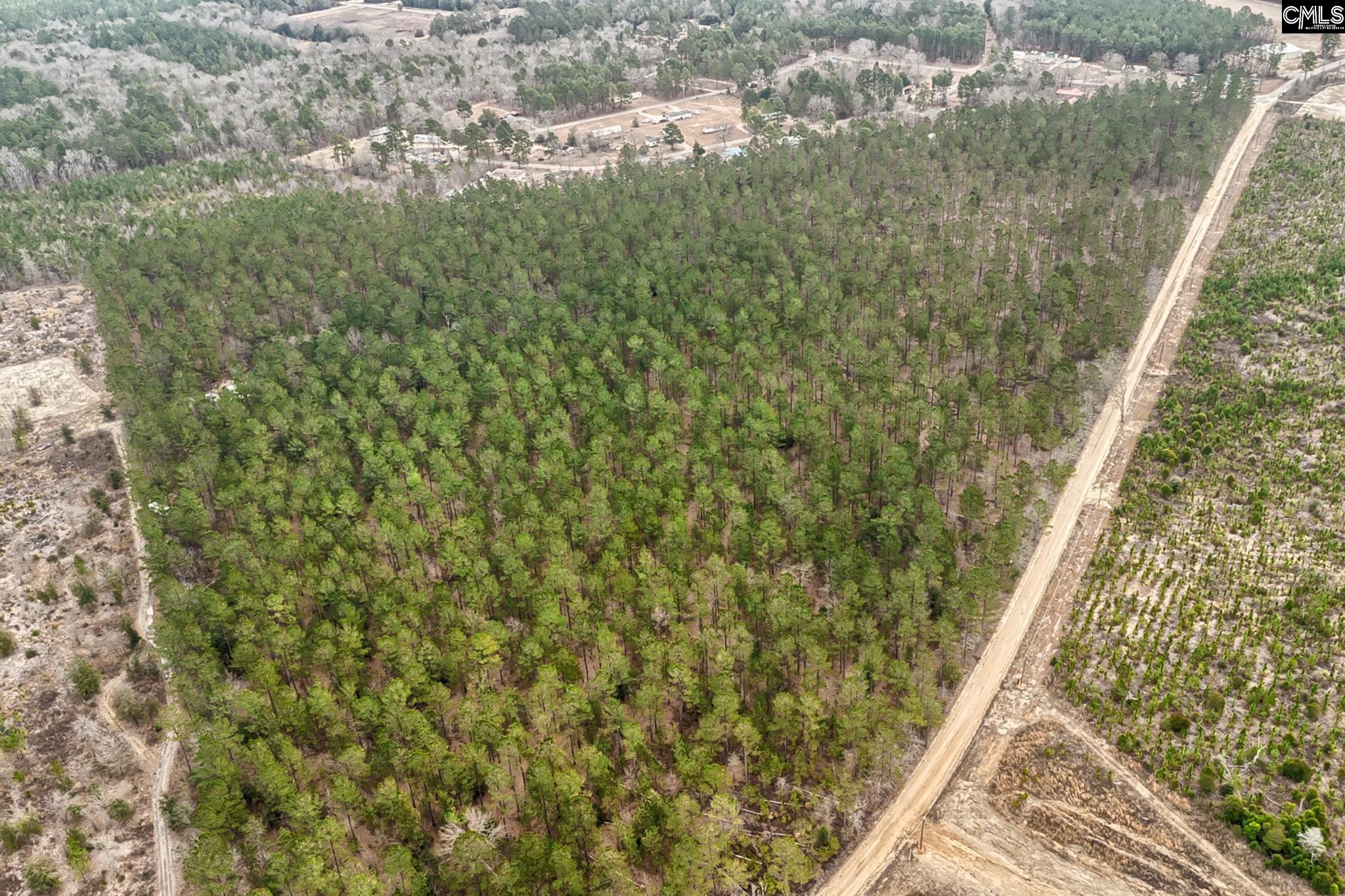 00 Otis Baughman Sr Road, Wagener, South Carolina image 5