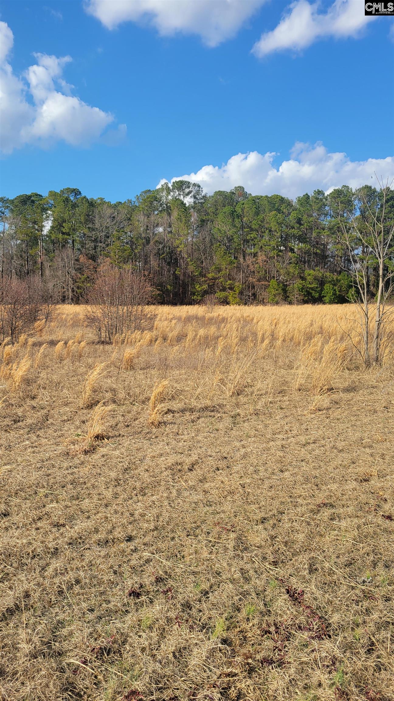 Old Sandy Run Road Gaston, SC 29053
