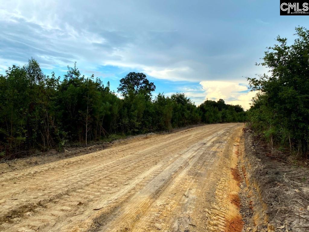 Ridge Spring Highway, Saluda, South Carolina image 3