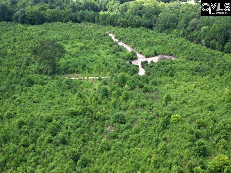 Ridge Spring Highway, Saluda, South Carolina image 4