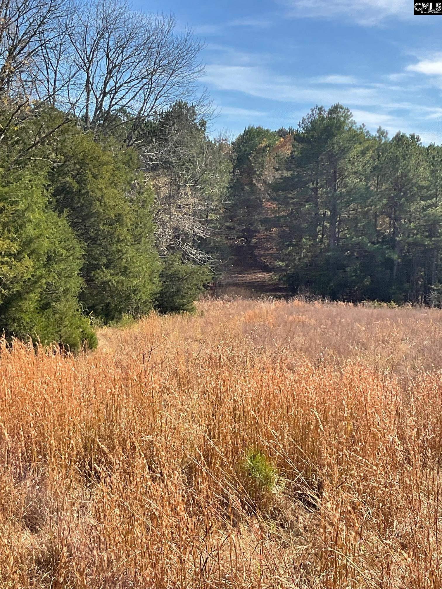 3221 Leeds Road Chester, SC 29706