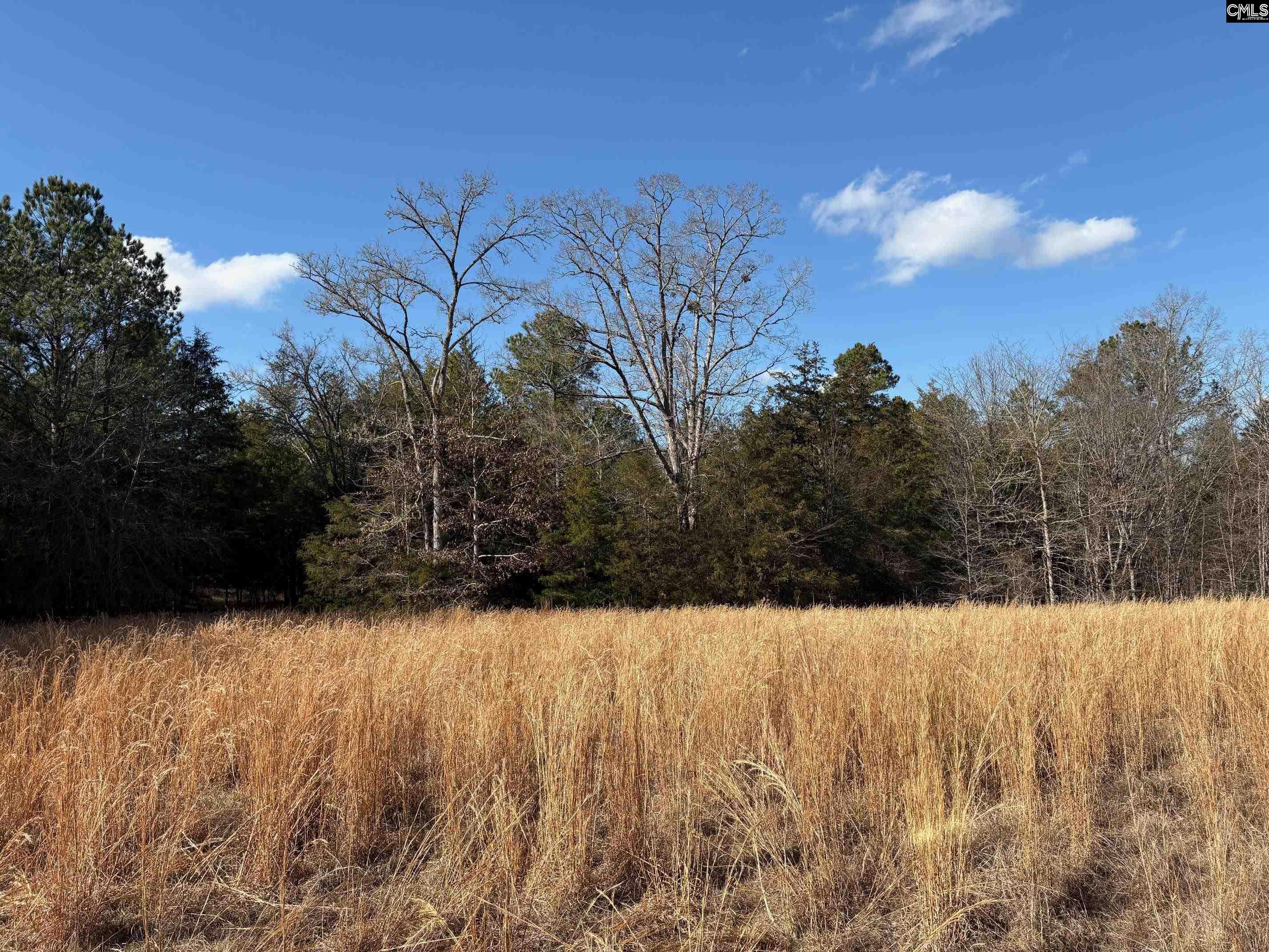3221 Leeds Road Chester, SC 29706