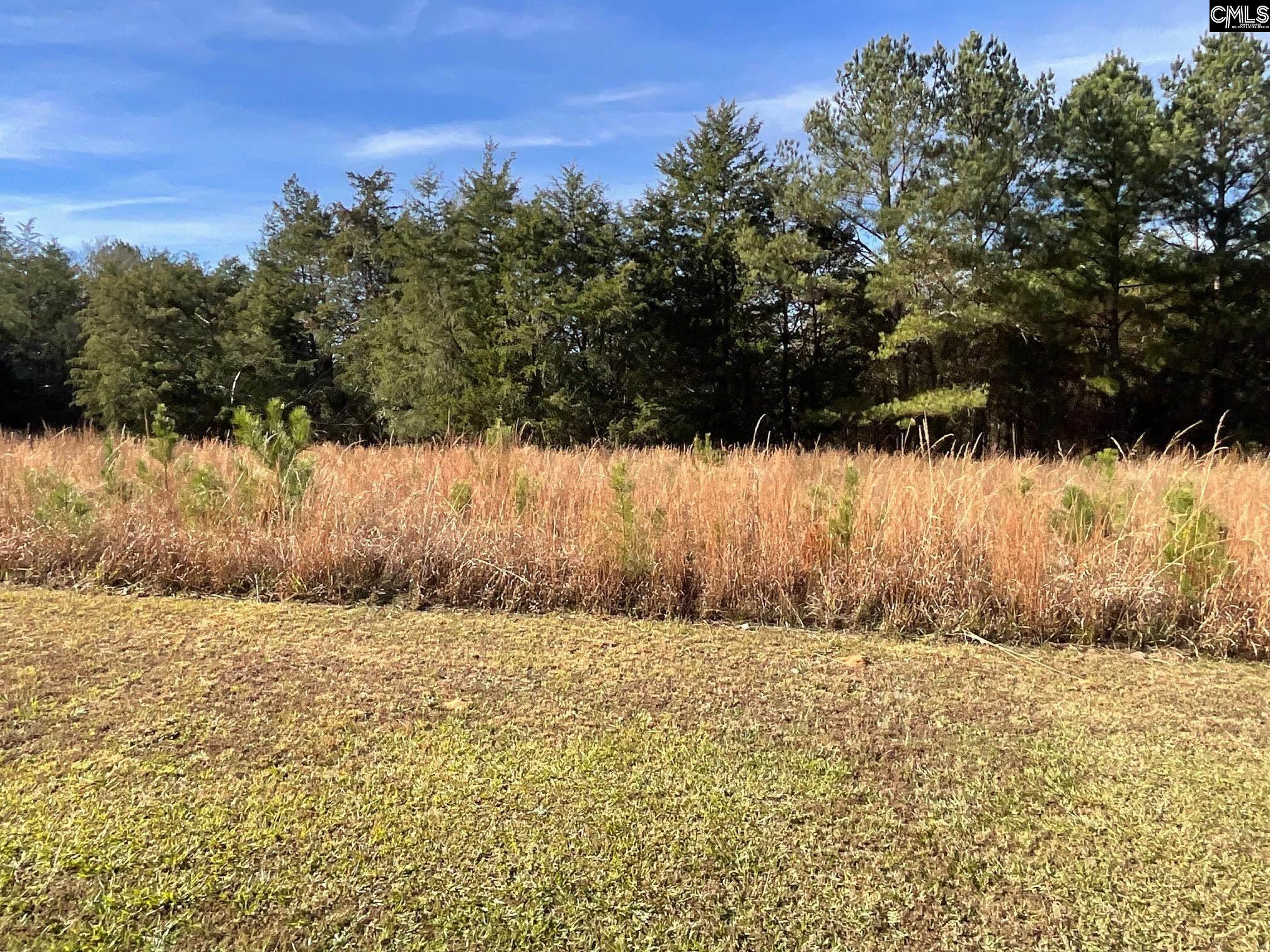 3221 Leeds Road Chester, SC 29706