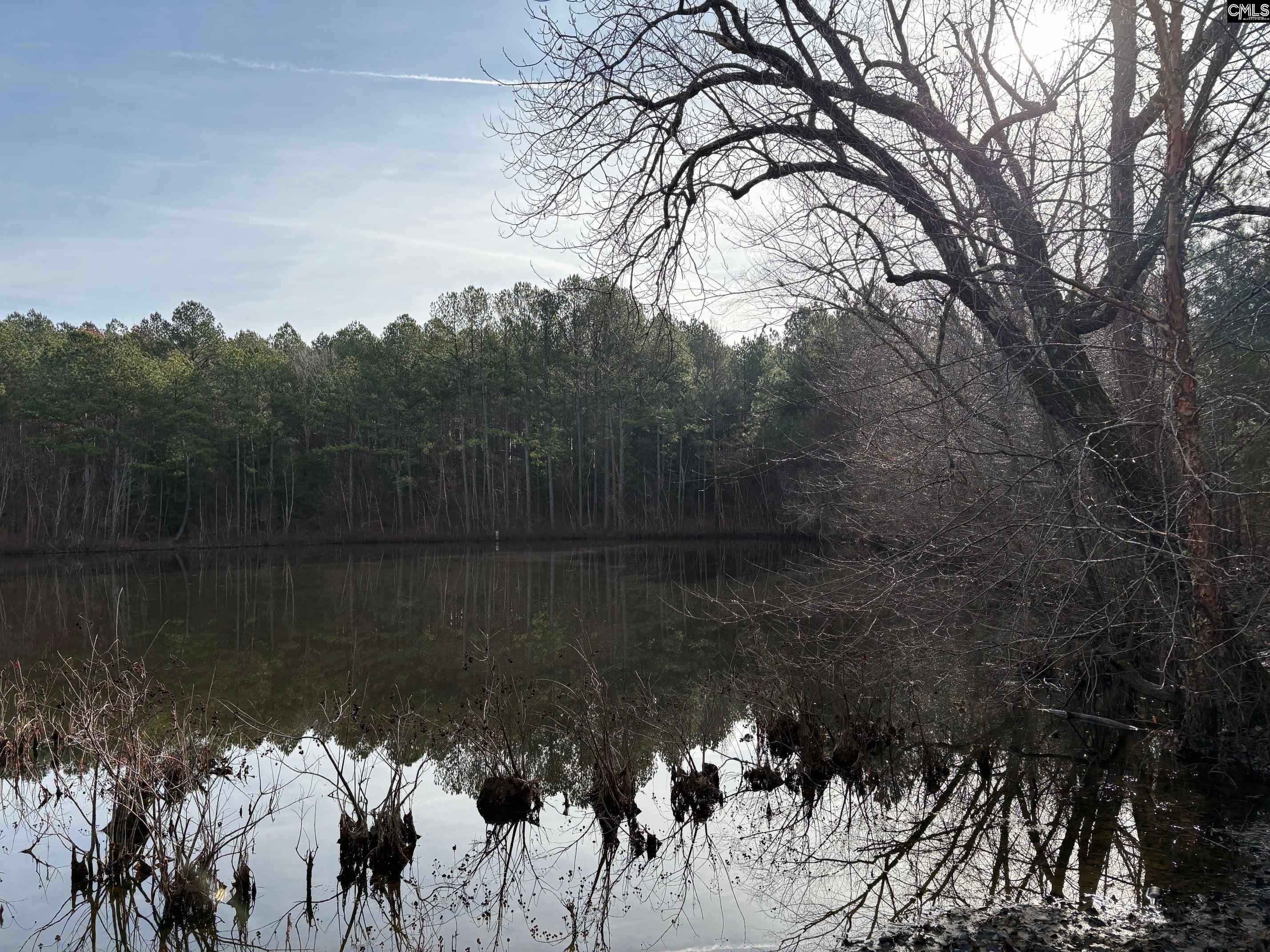 3221 Leeds Road Chester, SC 29706