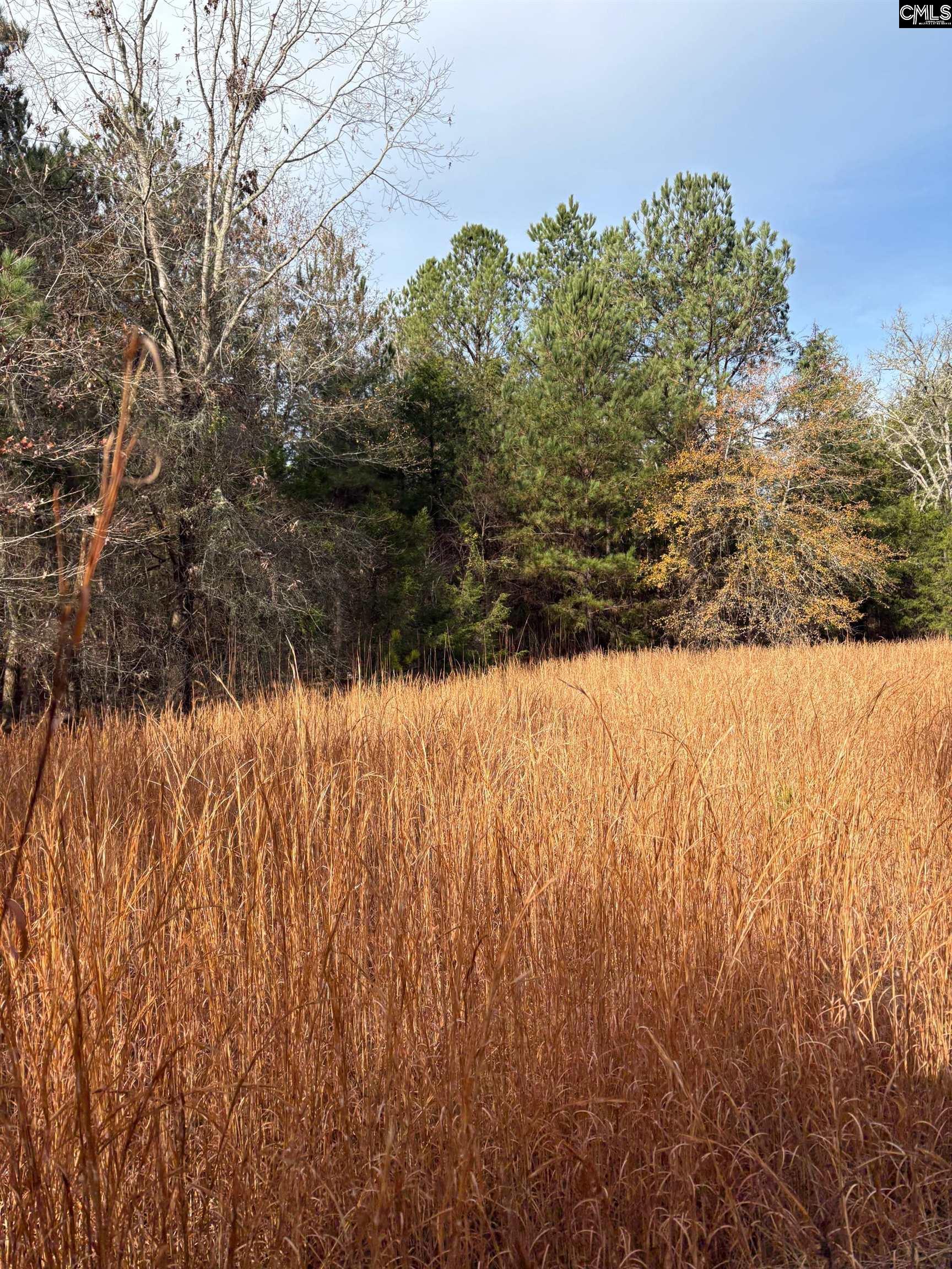 3221 Leeds Road Chester, SC 29706
