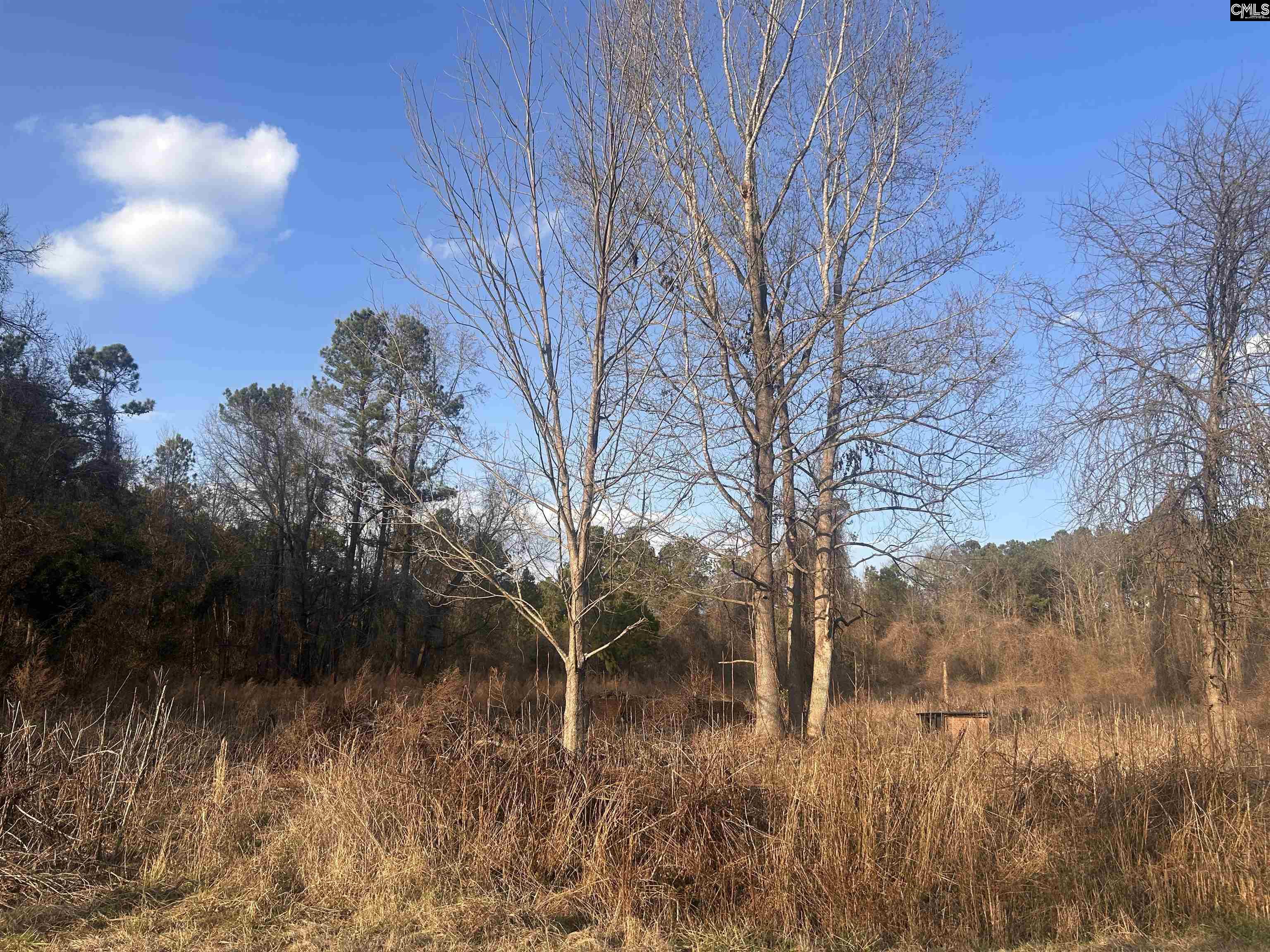 210 Ridge Road UNIT #25 Winnsboro, SC 29180-6477