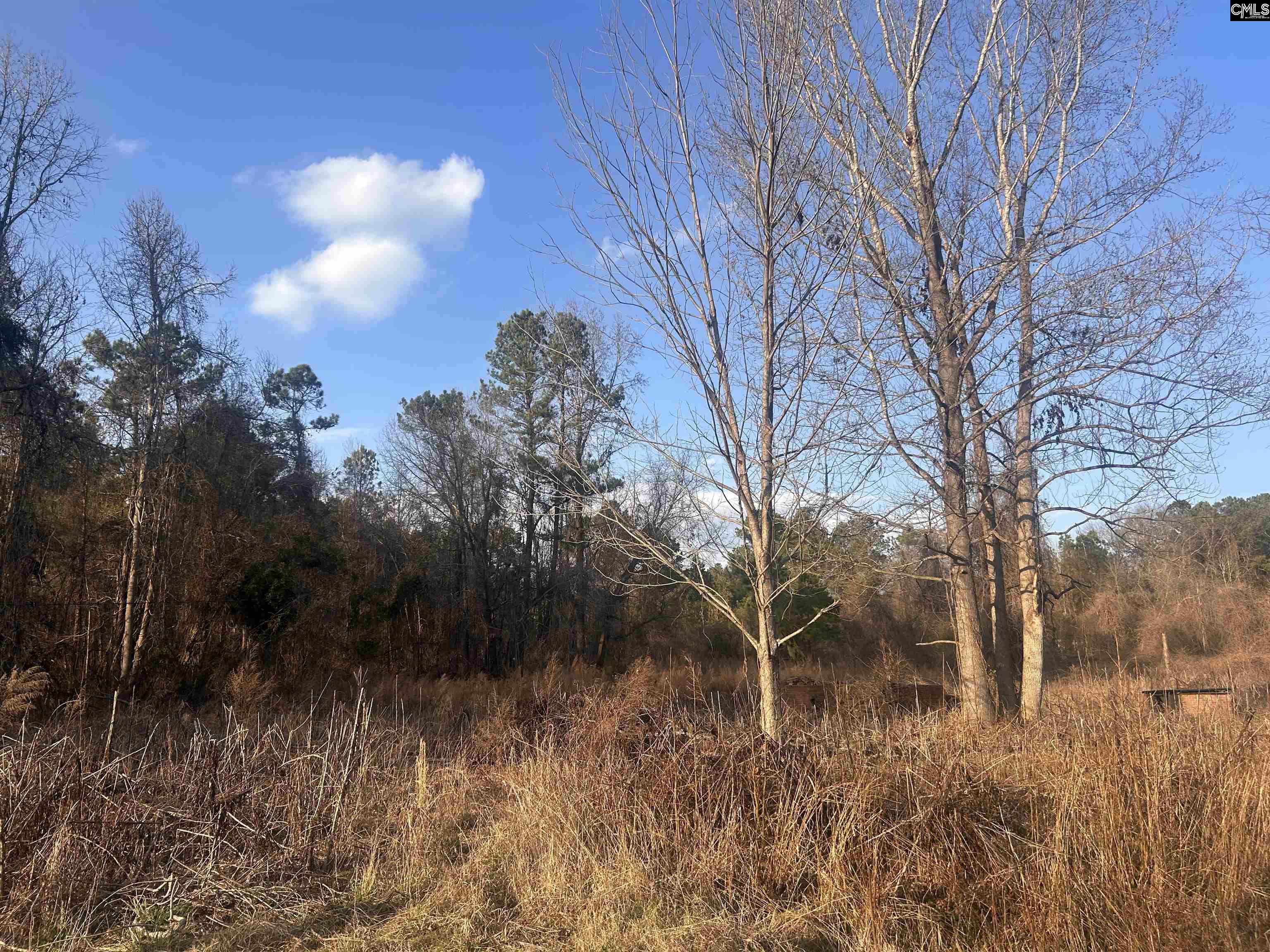 210 Ridge Road, Winnsboro, South Carolina image 5