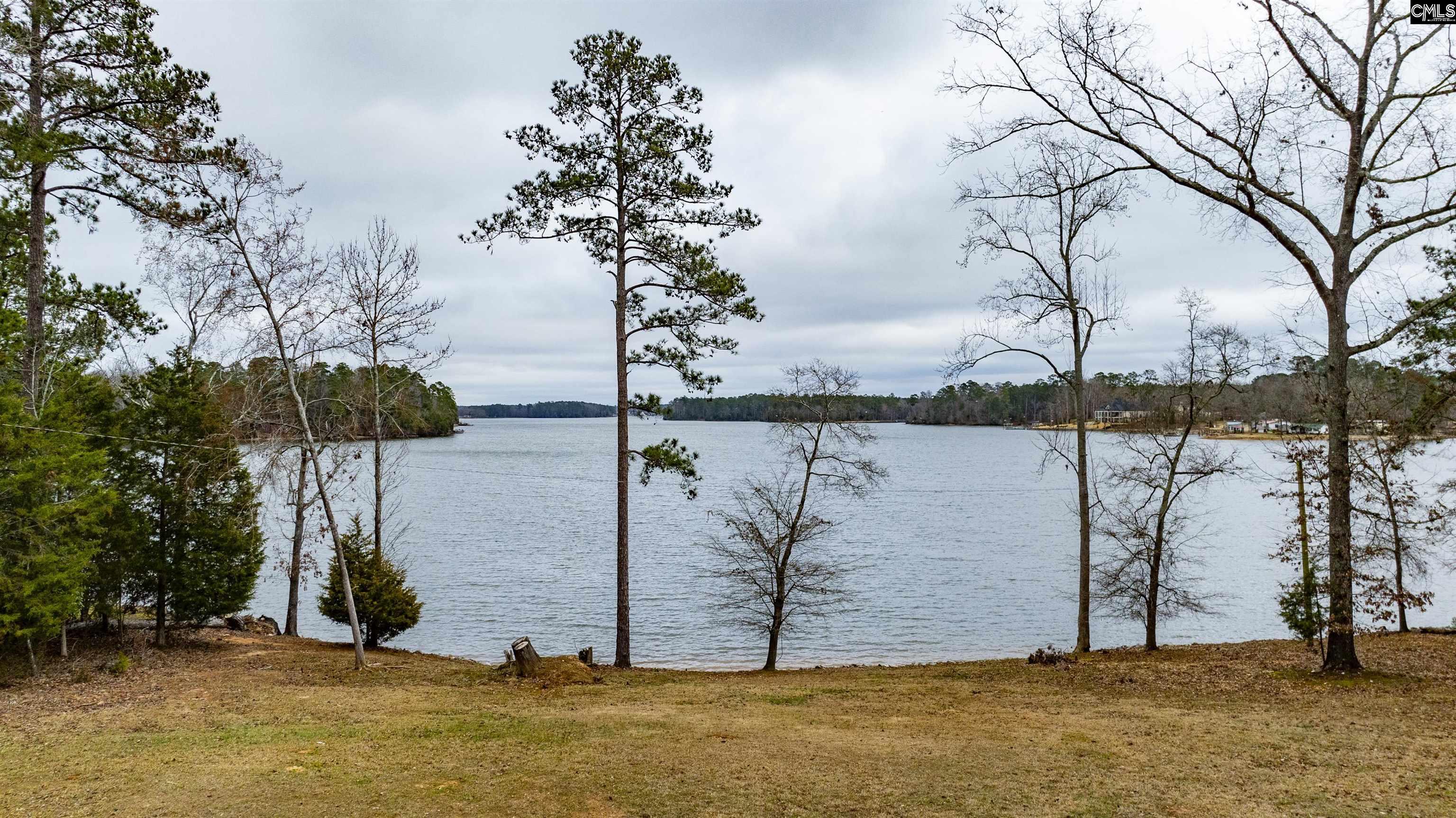 262 Georgia Drive, Leesville, South Carolina image 20