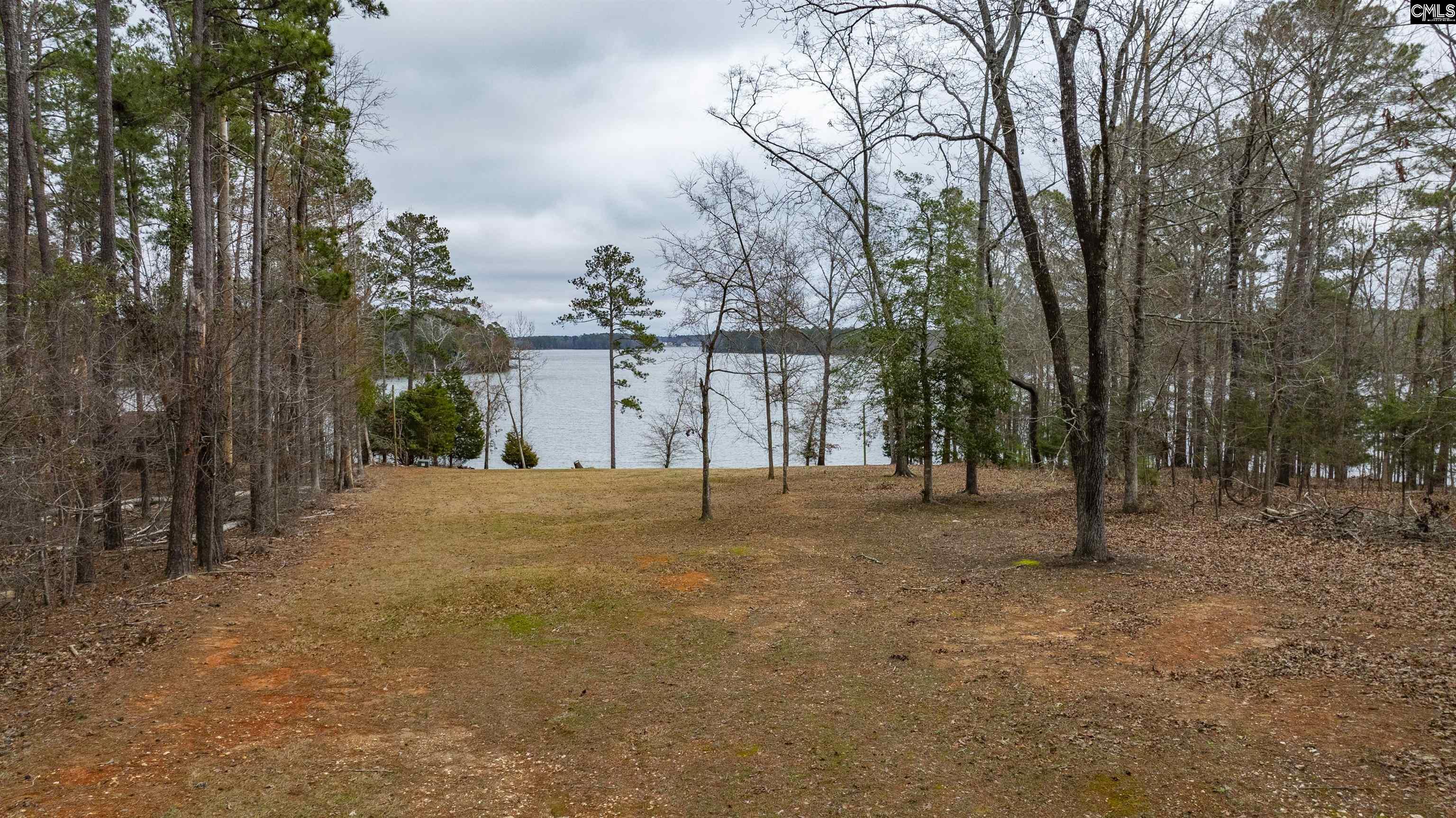 262 Georgia Drive, Leesville, South Carolina image 3
