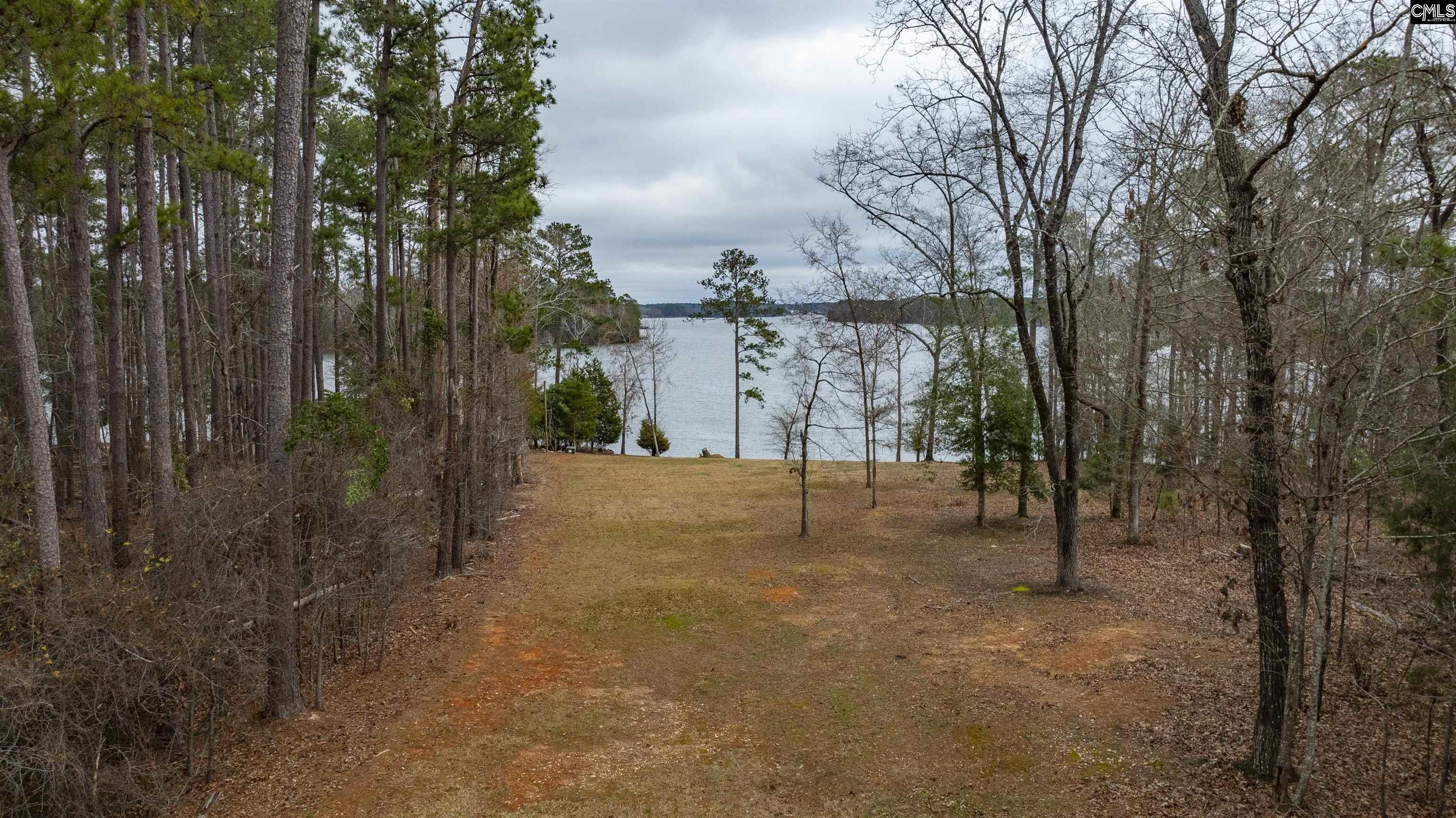 262 Georgia Drive, Leesville, South Carolina image 4