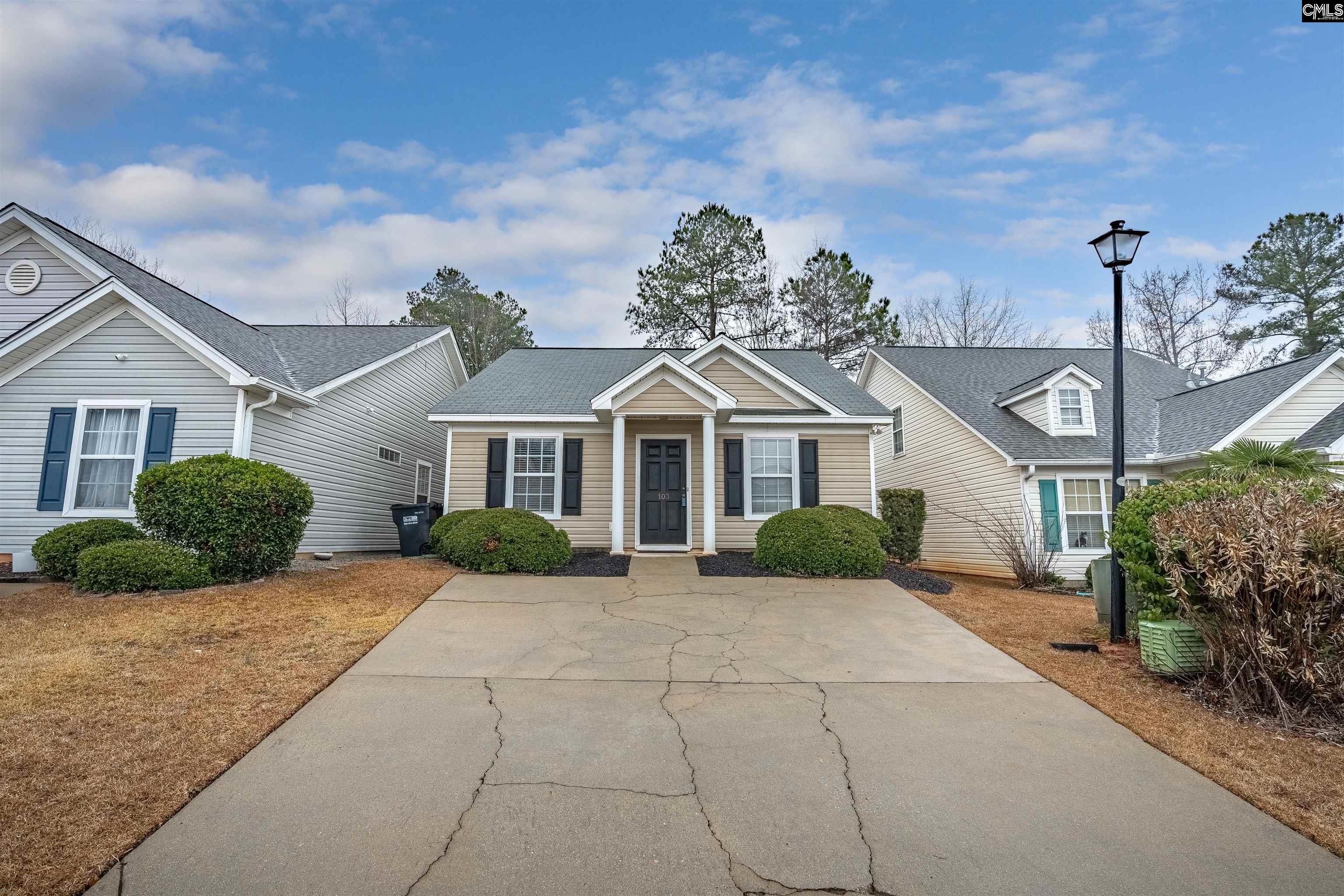 103 Merowey Court Chapin, SC 29036