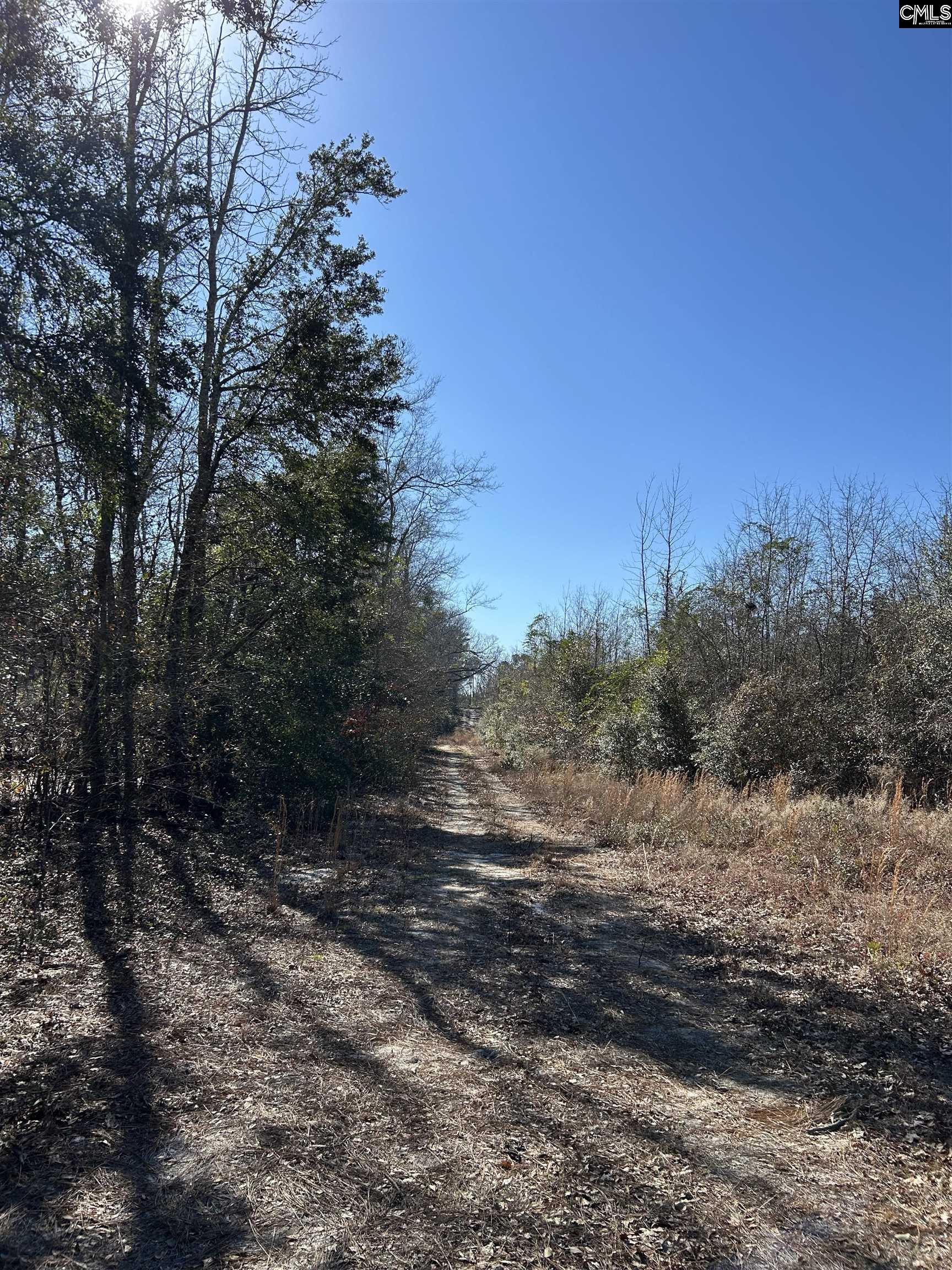 TBD Old State Road St. Matthews, SC 29135-0000