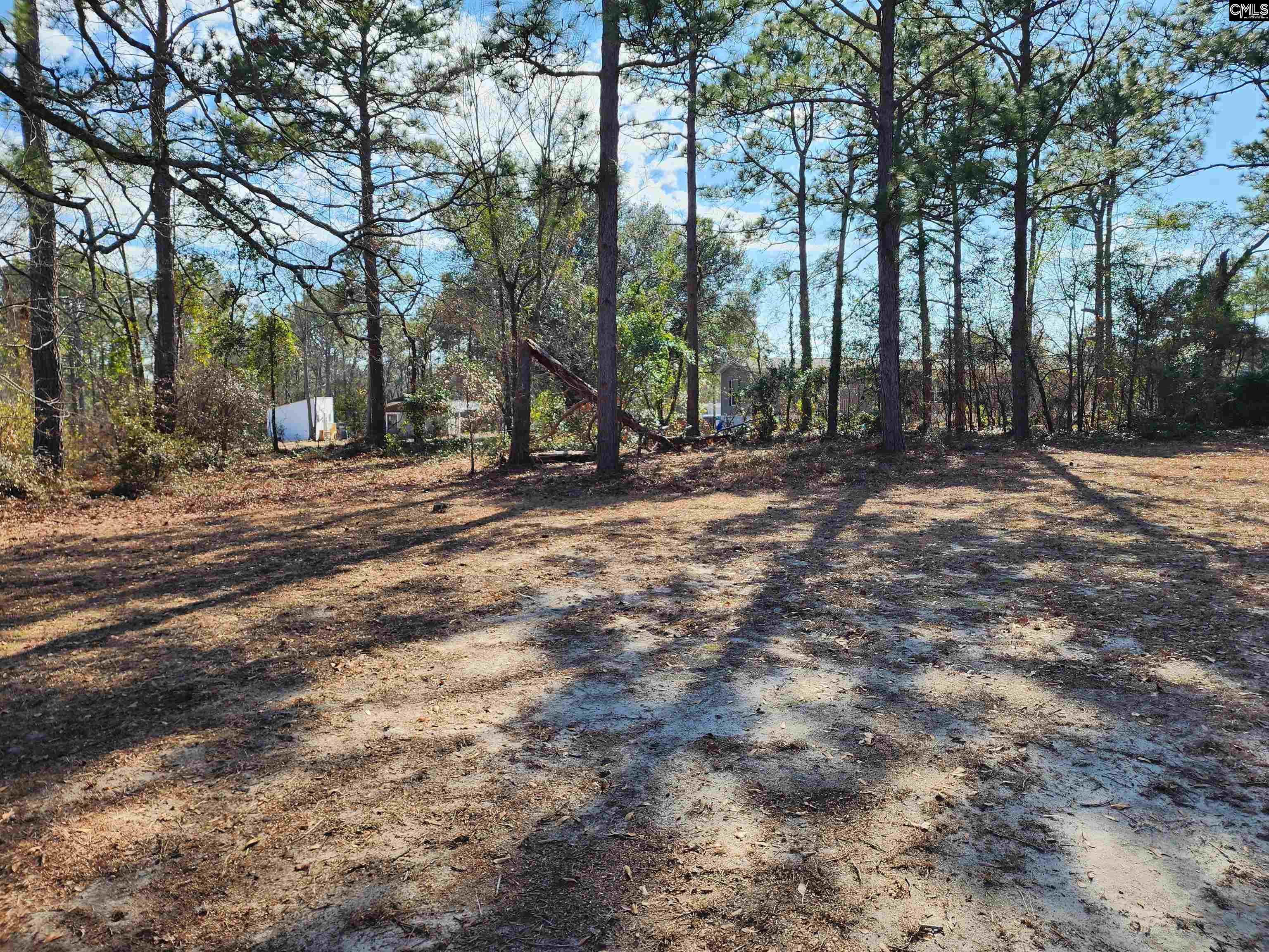 185 S Wrenwood Drive, Lexington, South Carolina image 21