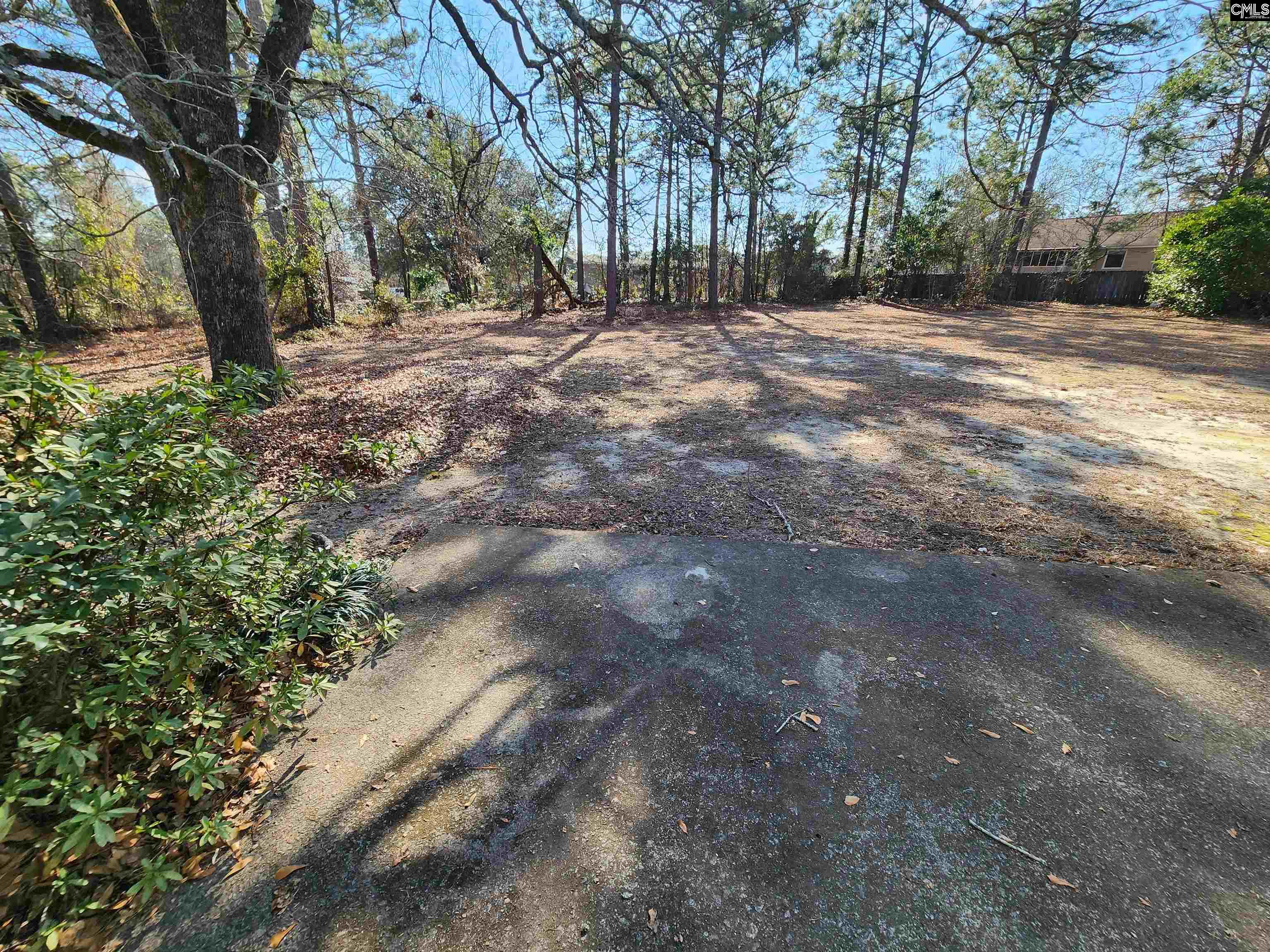 185 S Wrenwood Drive, Lexington, South Carolina image 22