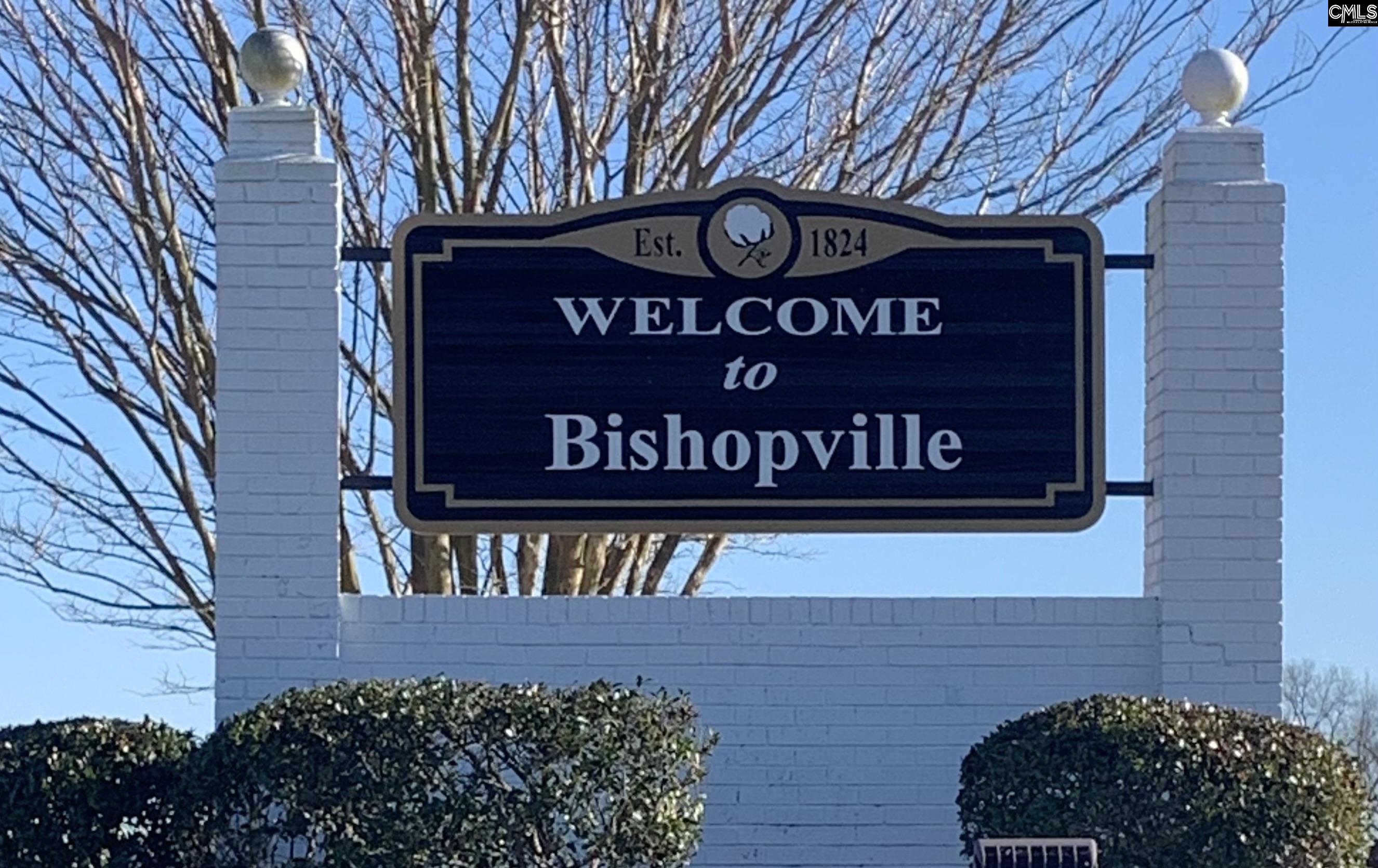 111 Ellen Street, Bishopville, South Carolina image 22