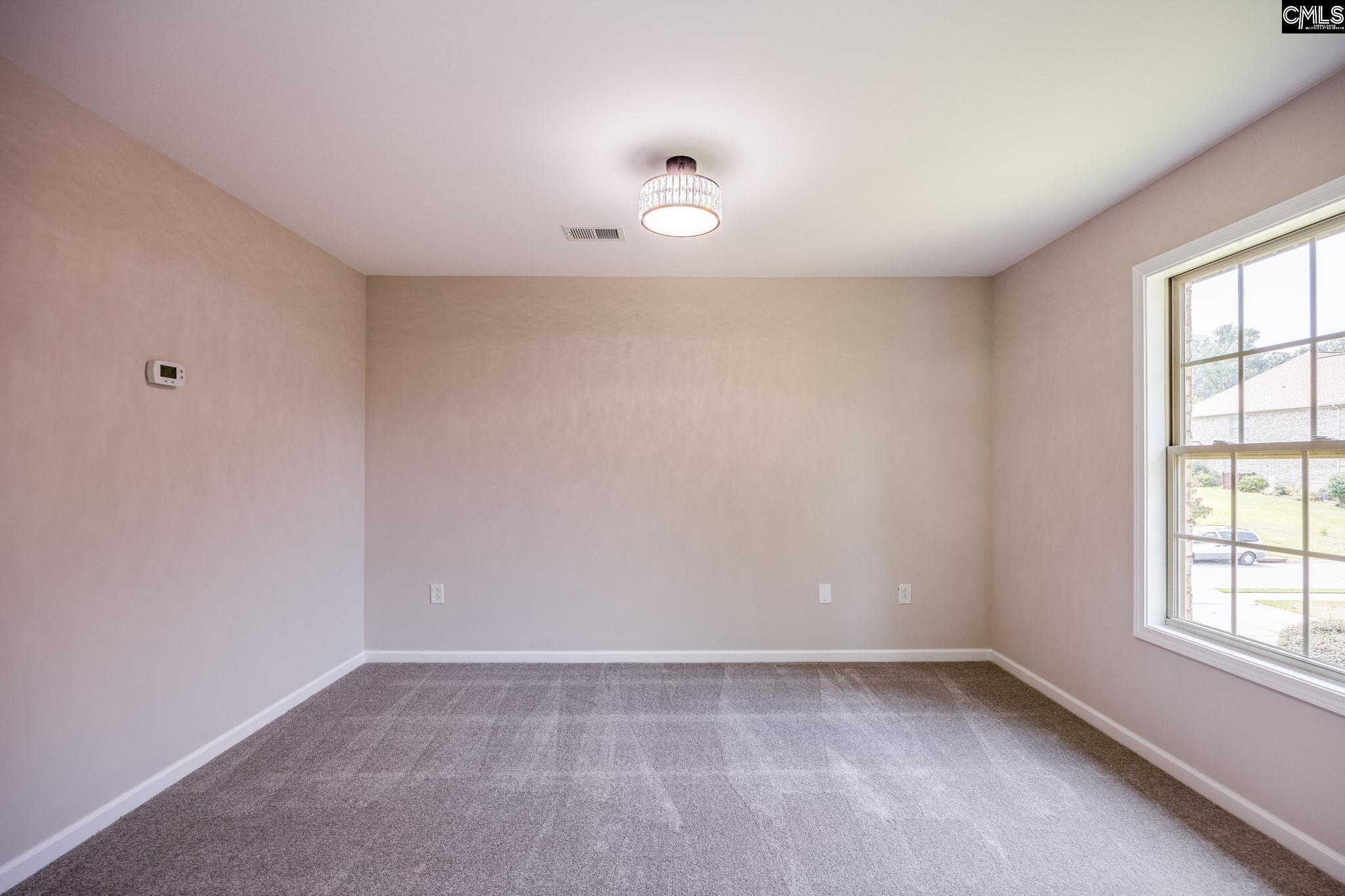 240 Massey Circle, Chapin, South Carolina image 45