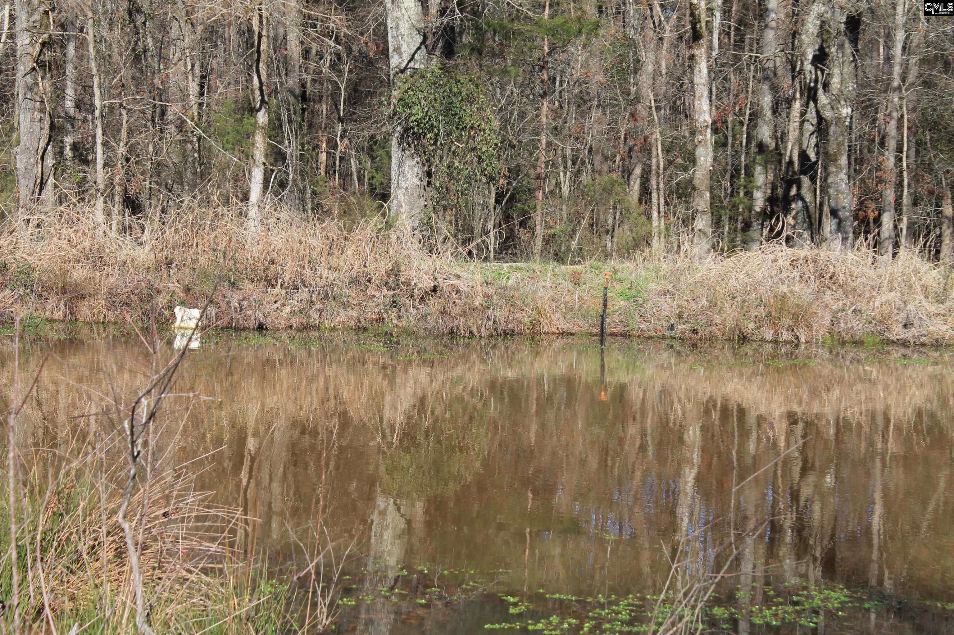 4128 Hollywood Rd, Batesburg, South Carolina image 7