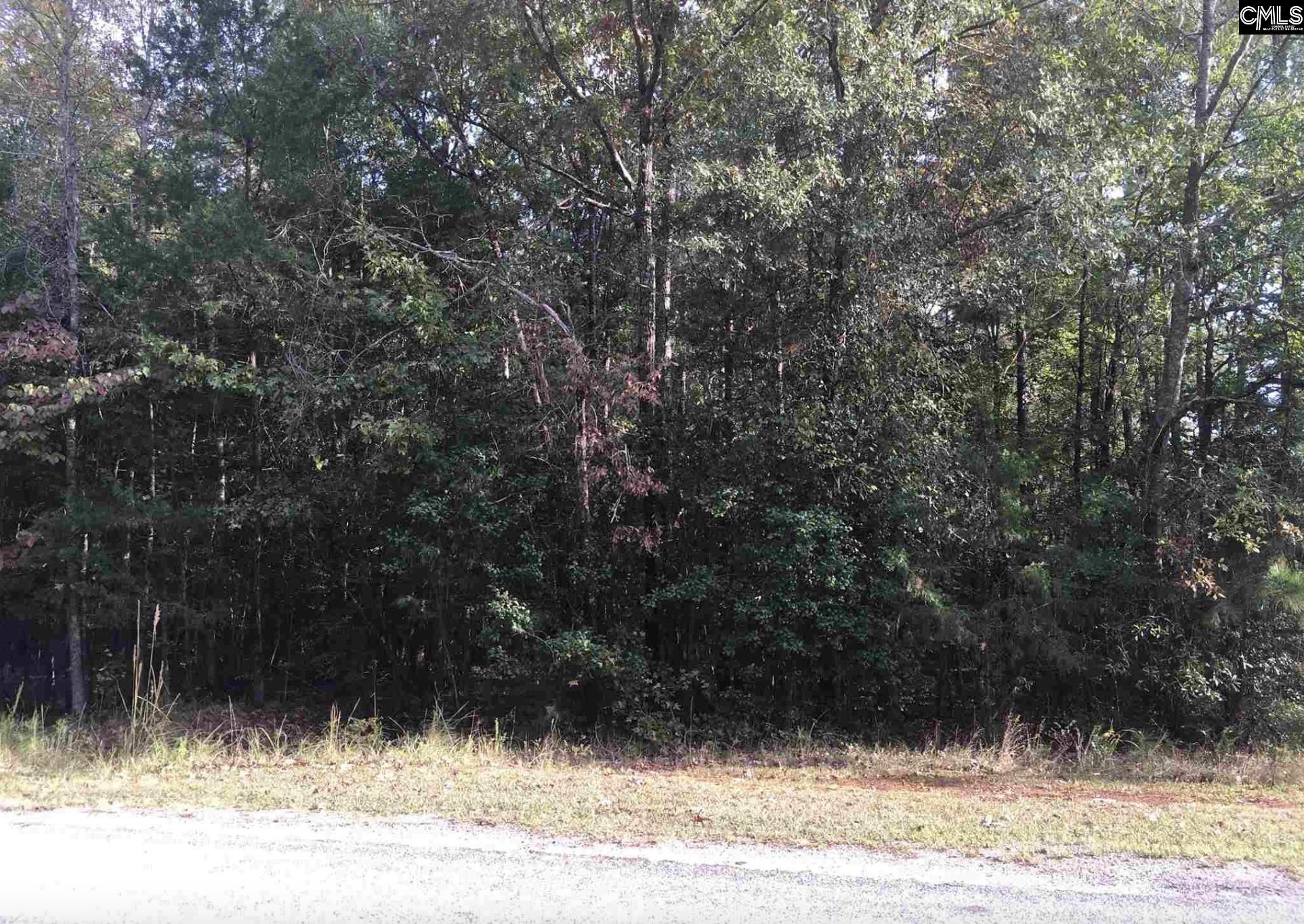 Harbor View Drive, Prosperity, South Carolina image 2