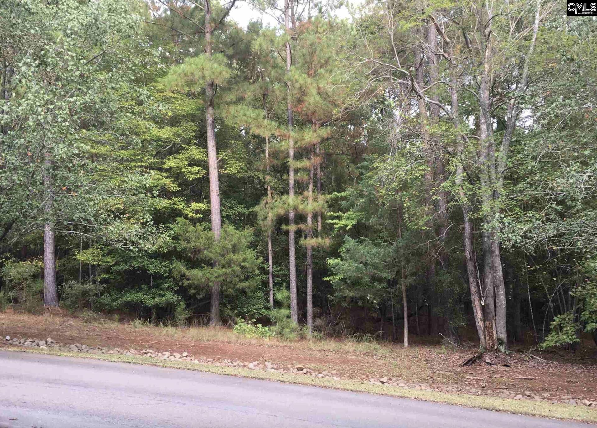 Harbor View Drive, Prosperity, South Carolina image 4