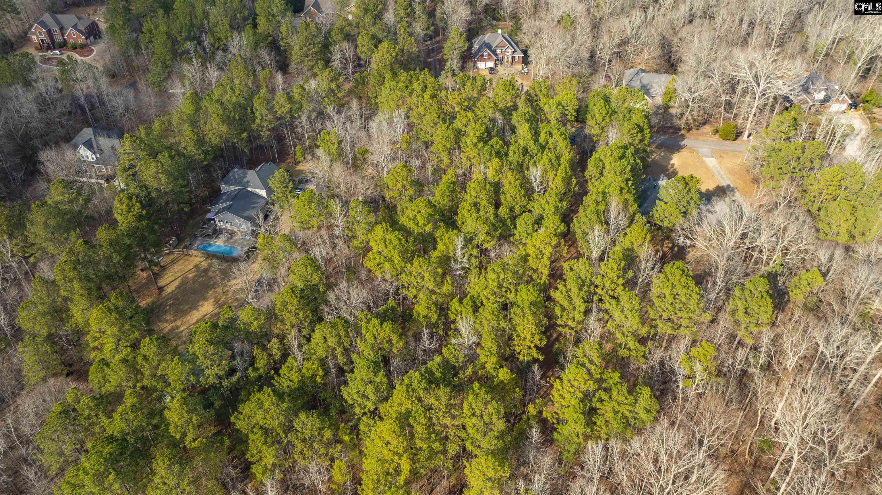 370 Bookman Mill Road, Irmo, South Carolina image 17
