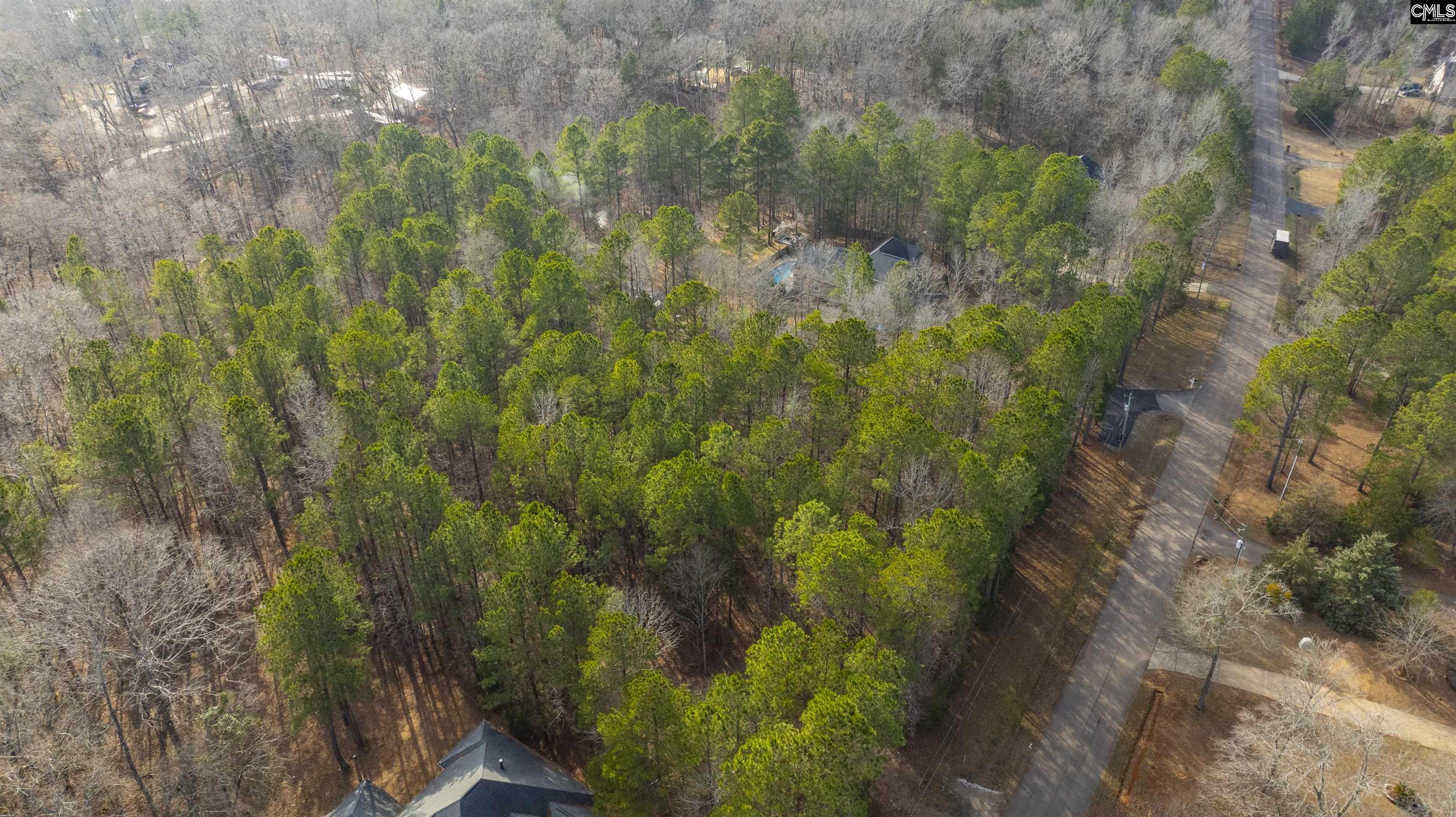 370 Bookman Mill Road, Irmo, South Carolina image 18
