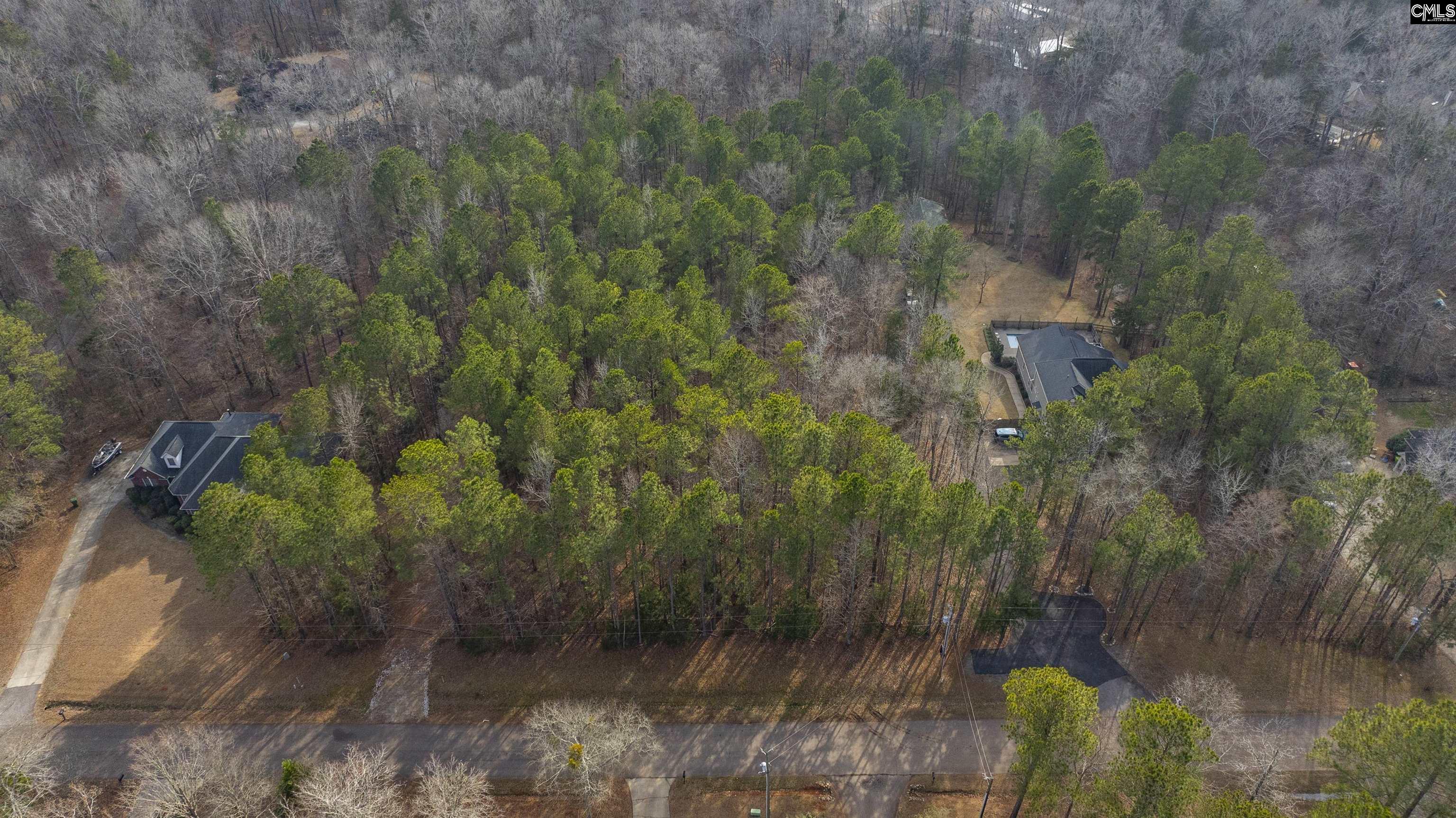 370 Bookman Mill Road, Irmo, South Carolina image 3