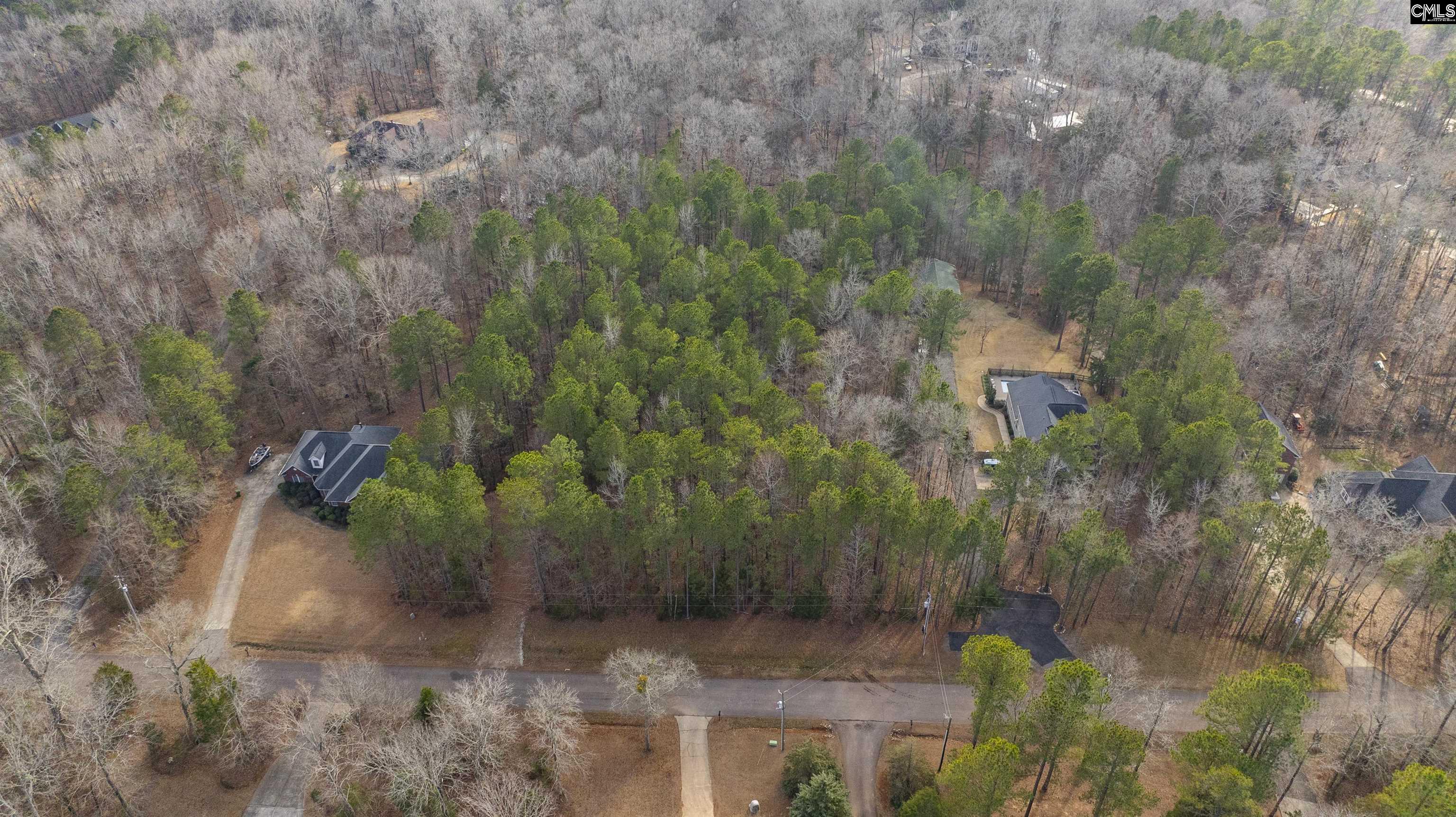 370 Bookman Mill Road, Irmo, South Carolina image 4