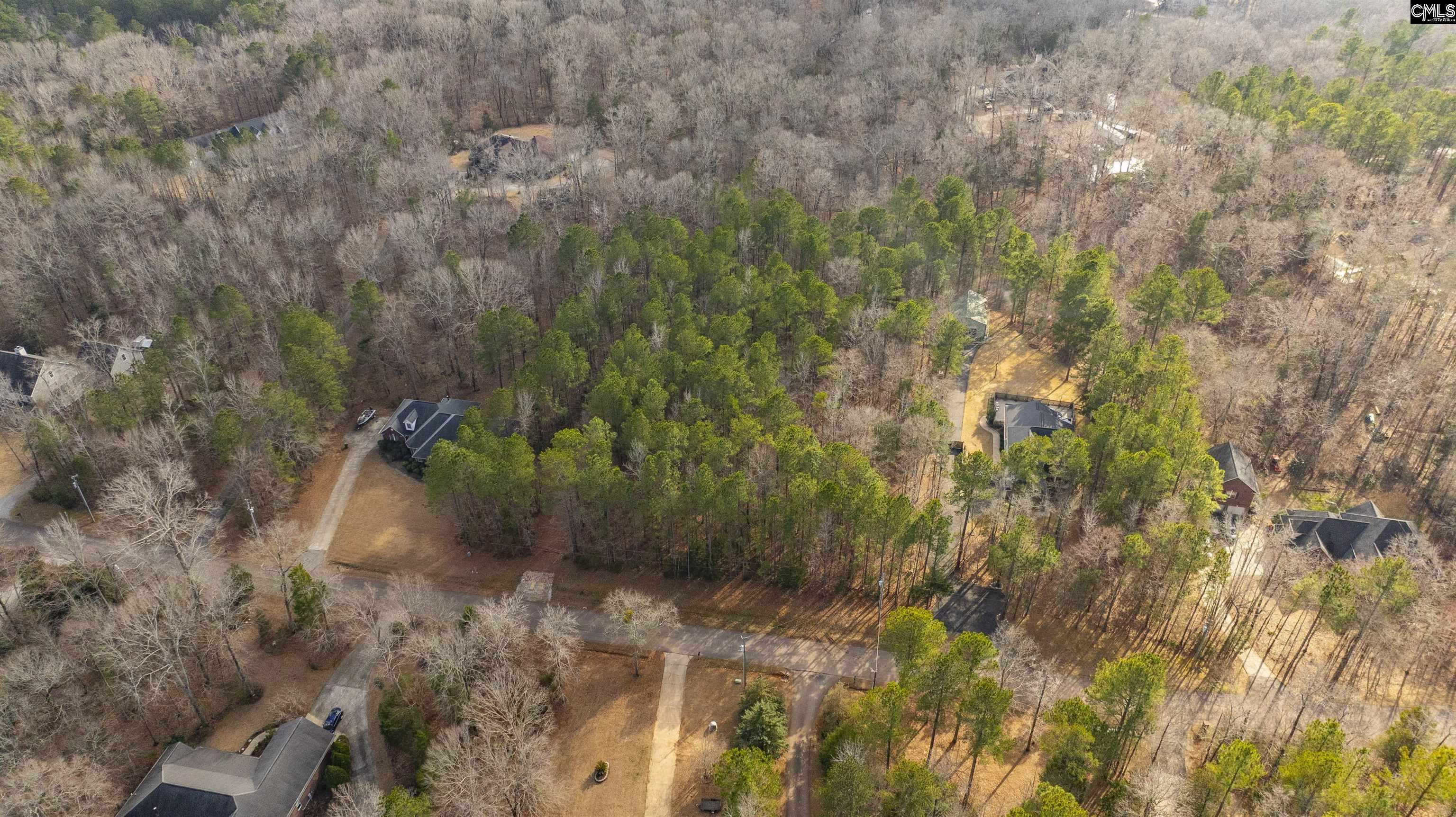 370 Bookman Mill Road, Irmo, South Carolina image 5